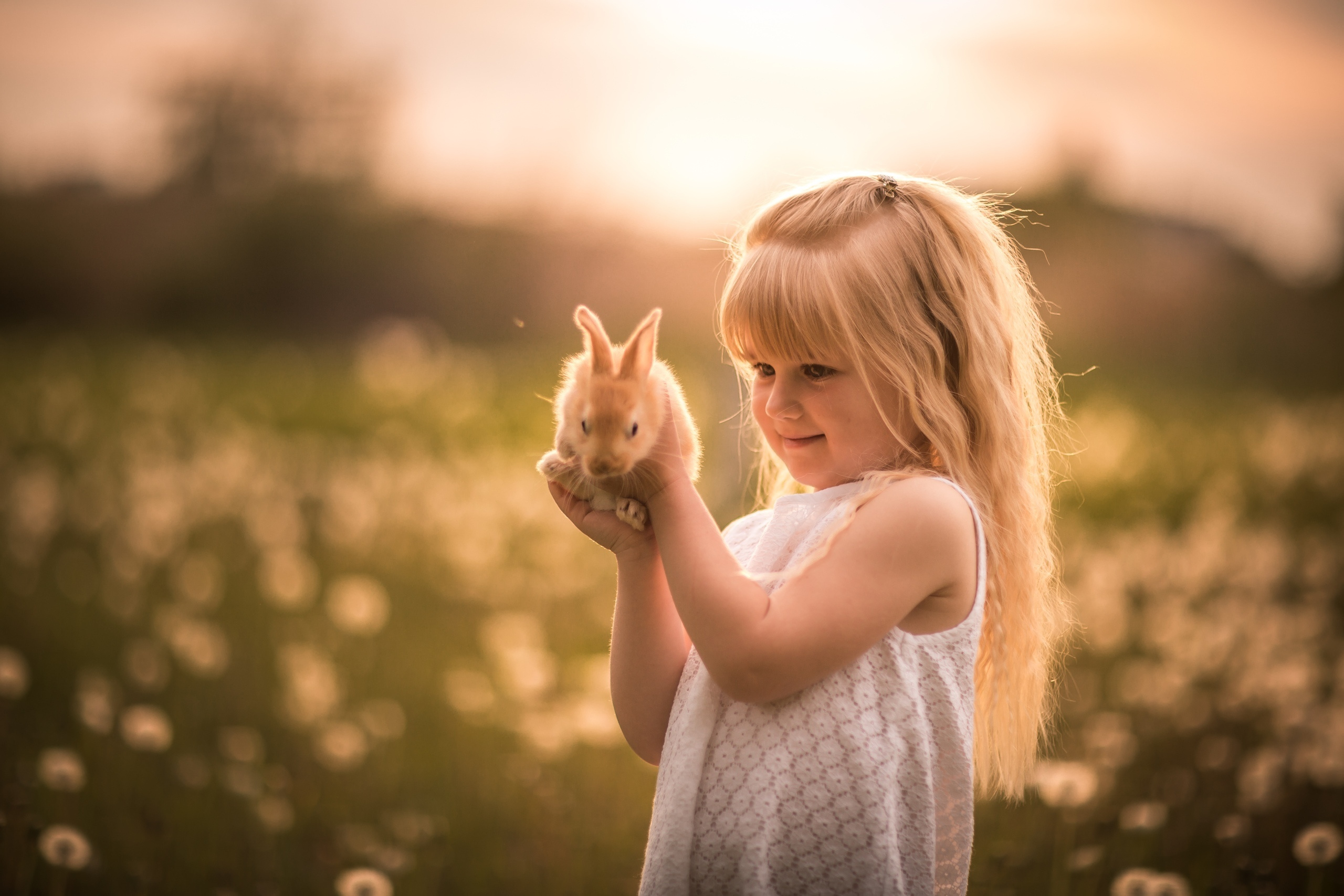Фотопроект "Крольчата". Свадебный, семейный и детский фотограф в Алексеевке Анастасия Ковальчу