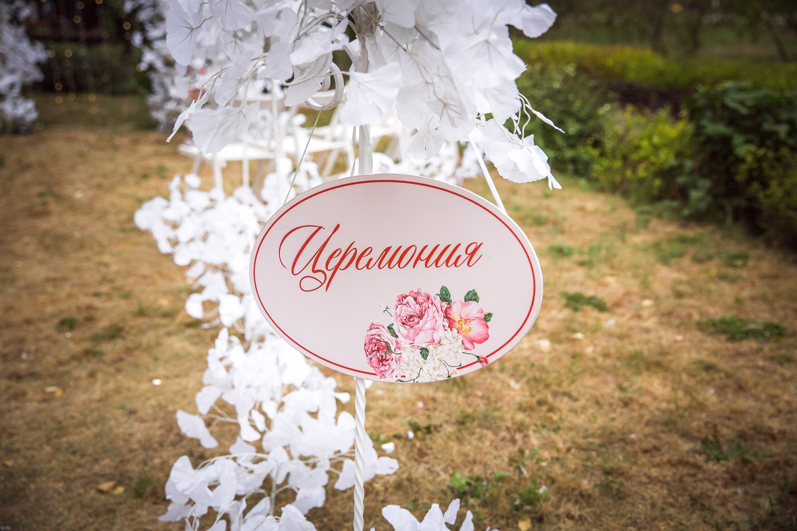 Анастасия и Евгений. Свадебный, семейный и детский фотограф в Алексеевке Анастасия Ковальчу