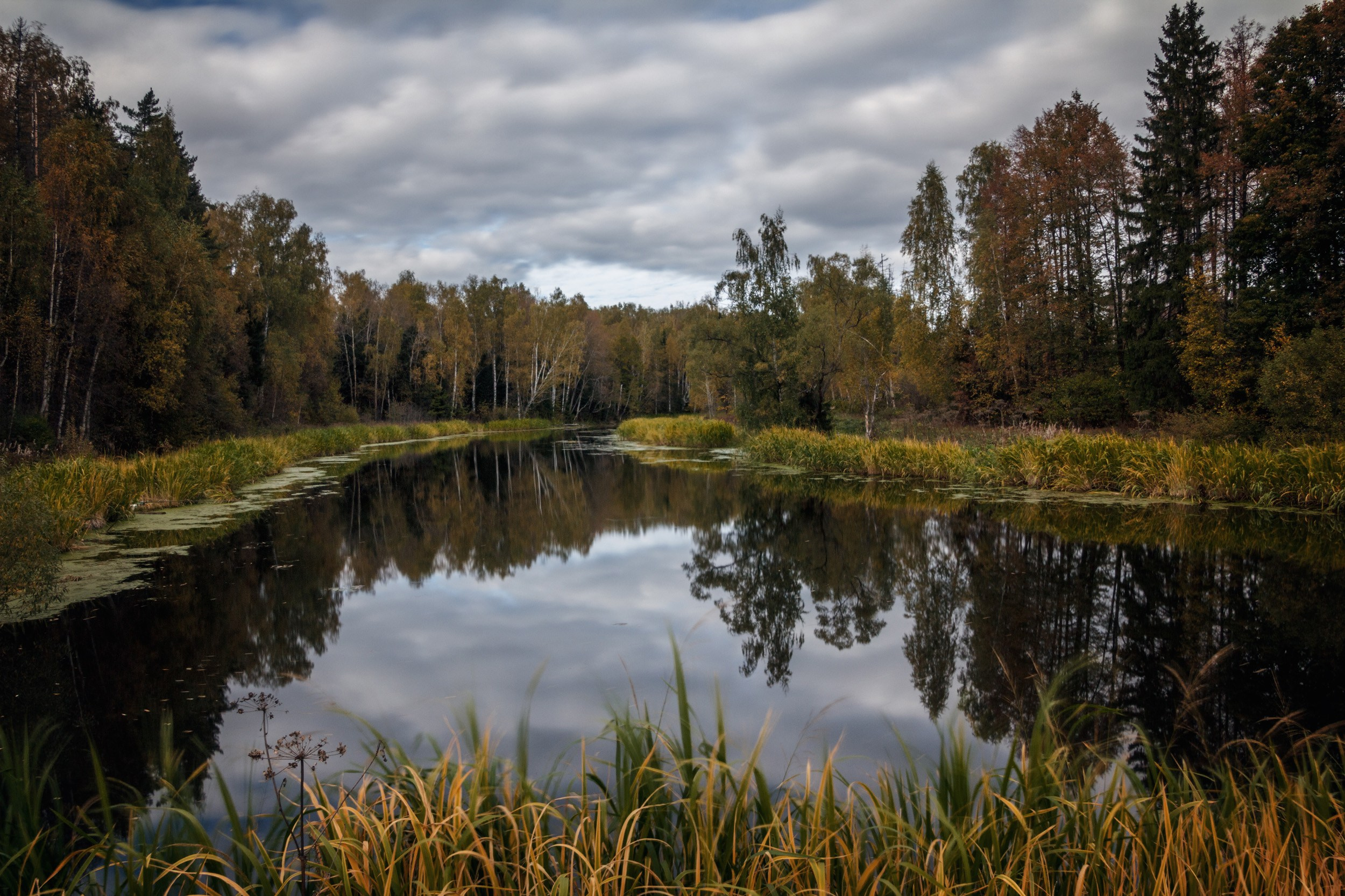 Пейзаж, природа. Портретный фотограф Станислав Жуков | Москва