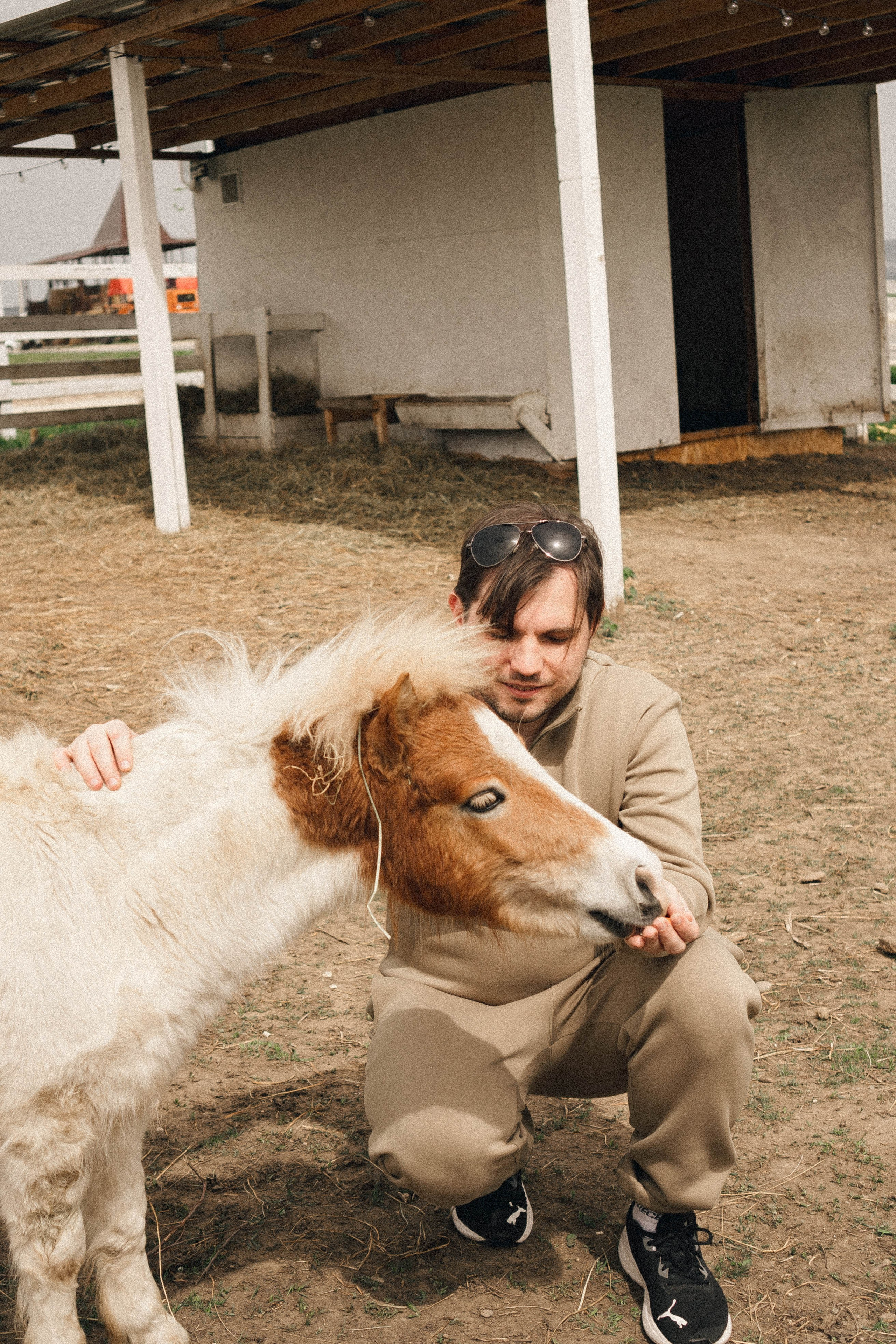 Ферма Альпак. Профессиональный фотограф, Санкт-Петербург — Виктория Богомолова