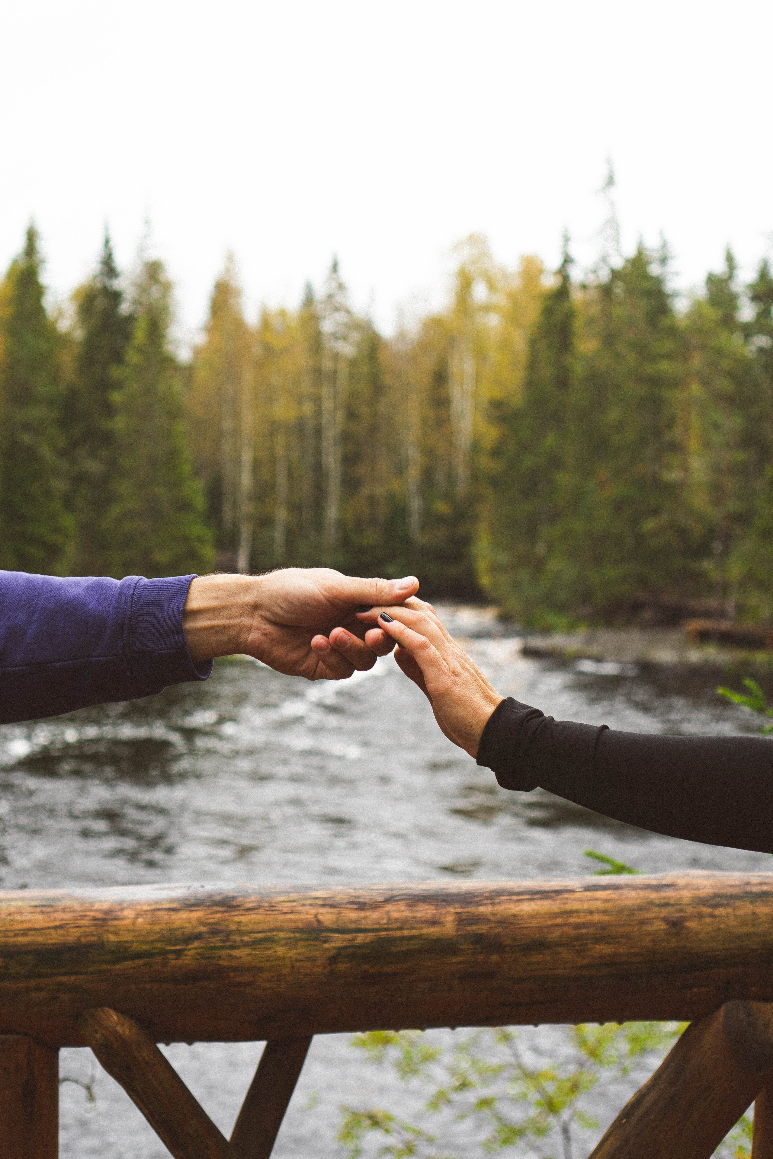 Прогулка на природе. Профессиональный фотограф, Санкт-Петербург — Виктория Богомолова