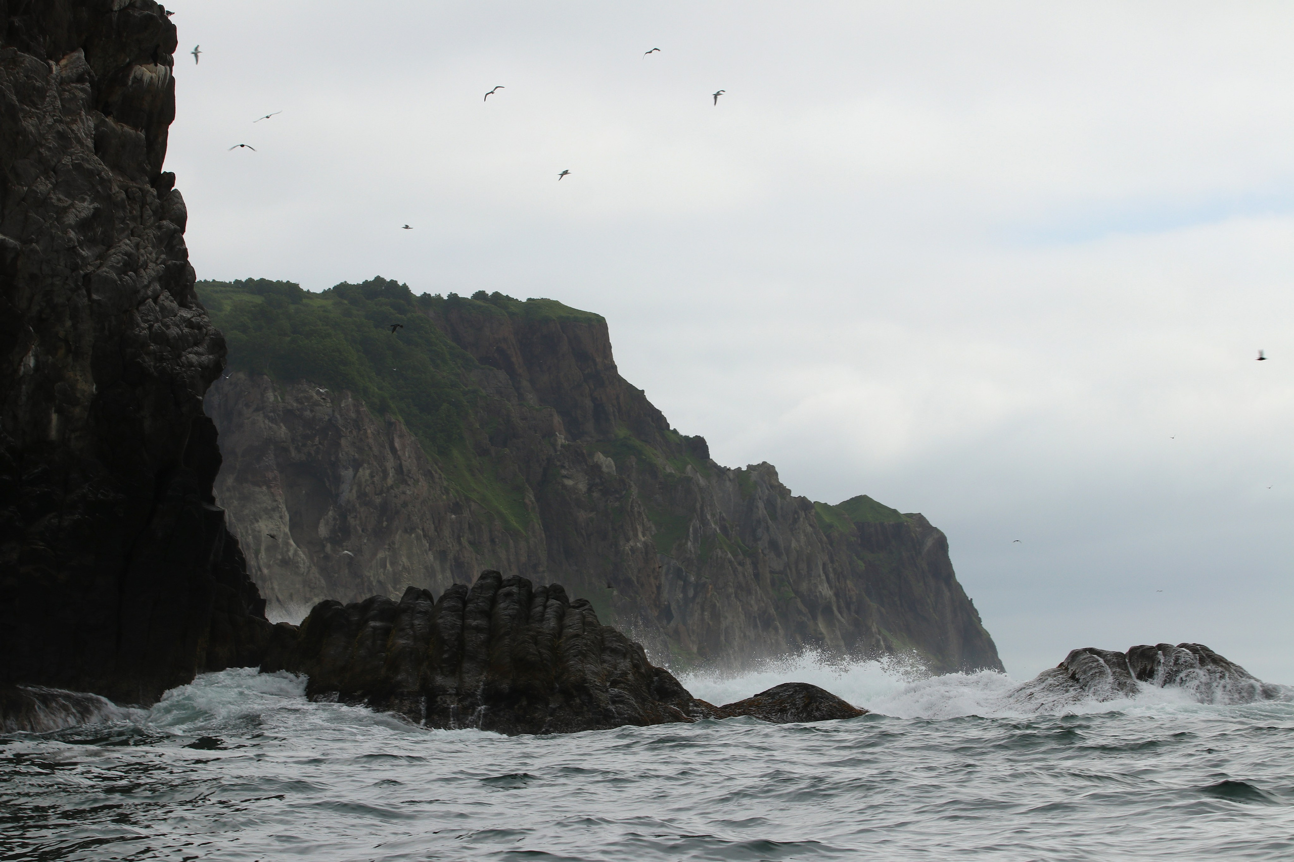 Камчатка и о. Парамушир. Июль 2024. Путешественник-фотограф из Санкт-Петербурга Татьяна Свистулина