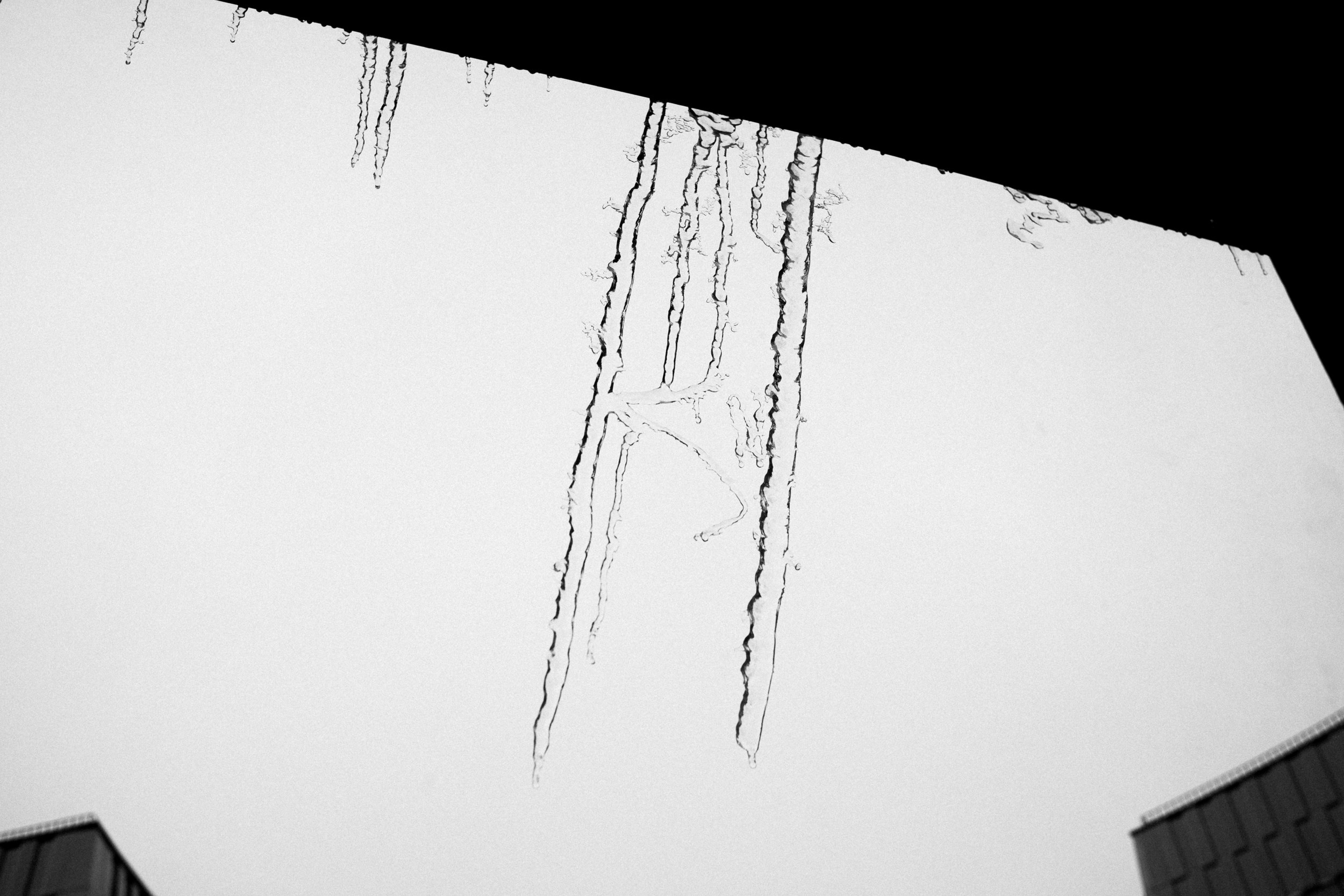 Моменты. Photographer Pavel Romashchenko