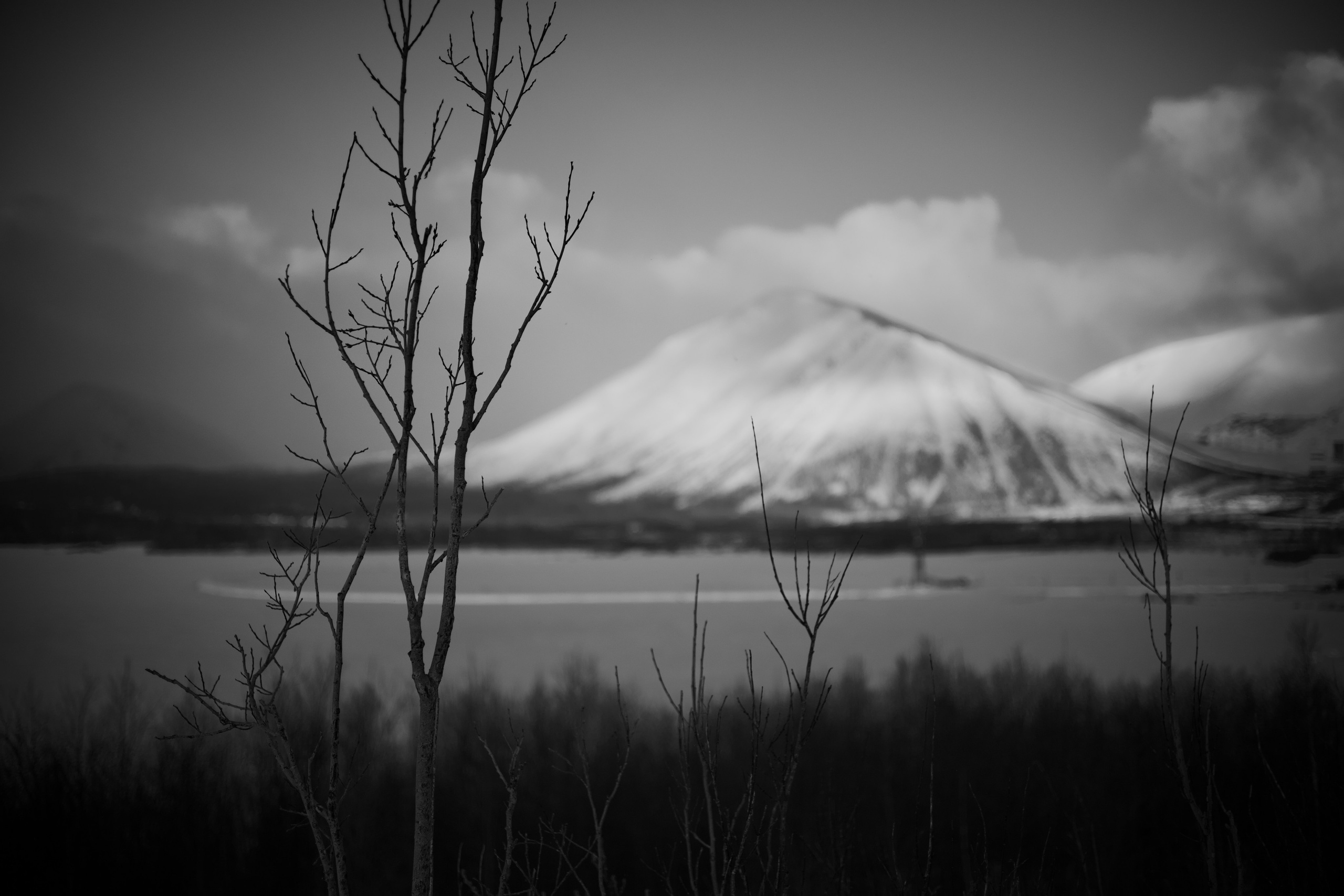 ПОРТФОЛИО. VS PRODUCTION СПБ