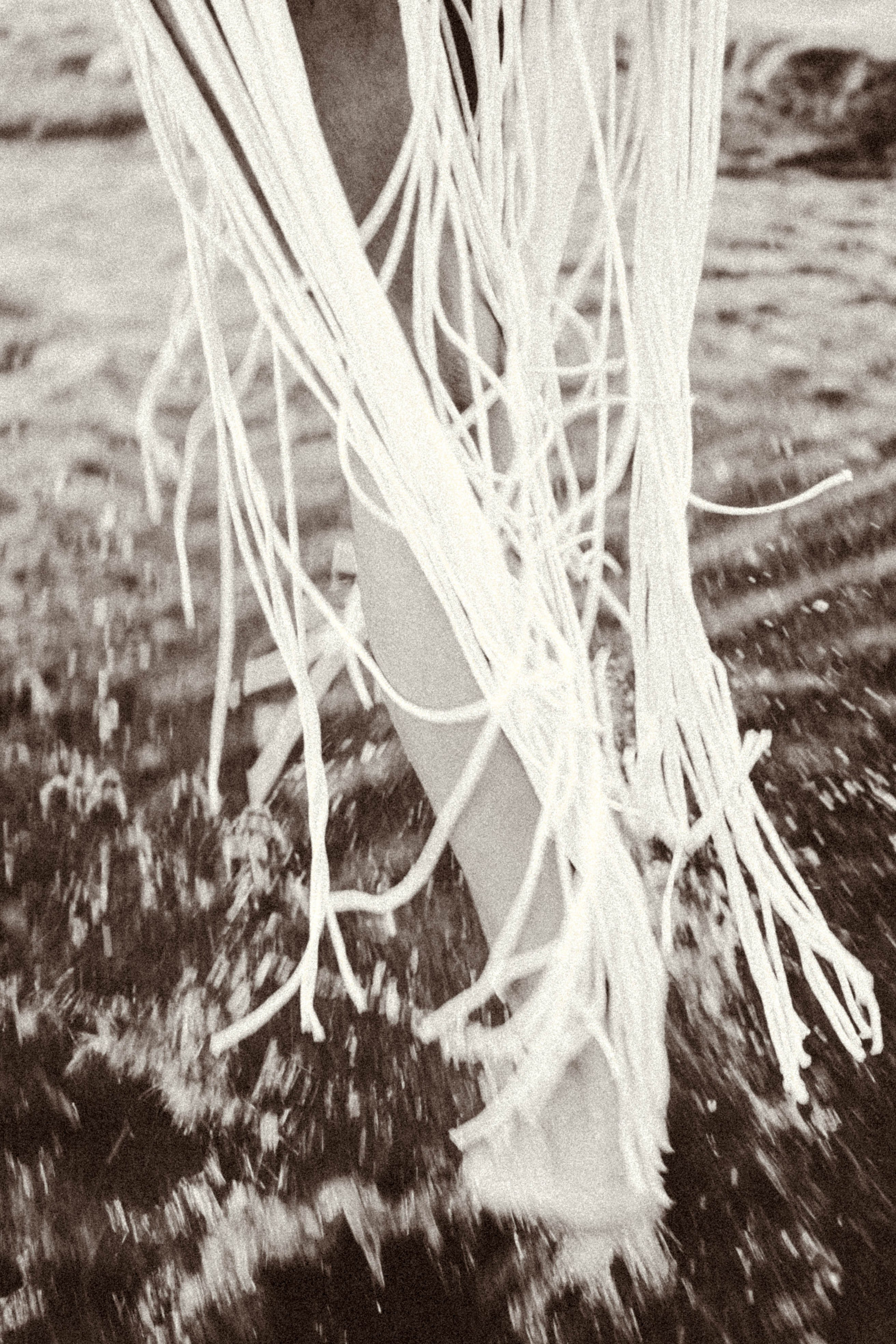 Рассвет. Профессиональный фотограф, Санкт-Петербург — Виктория Богомолова