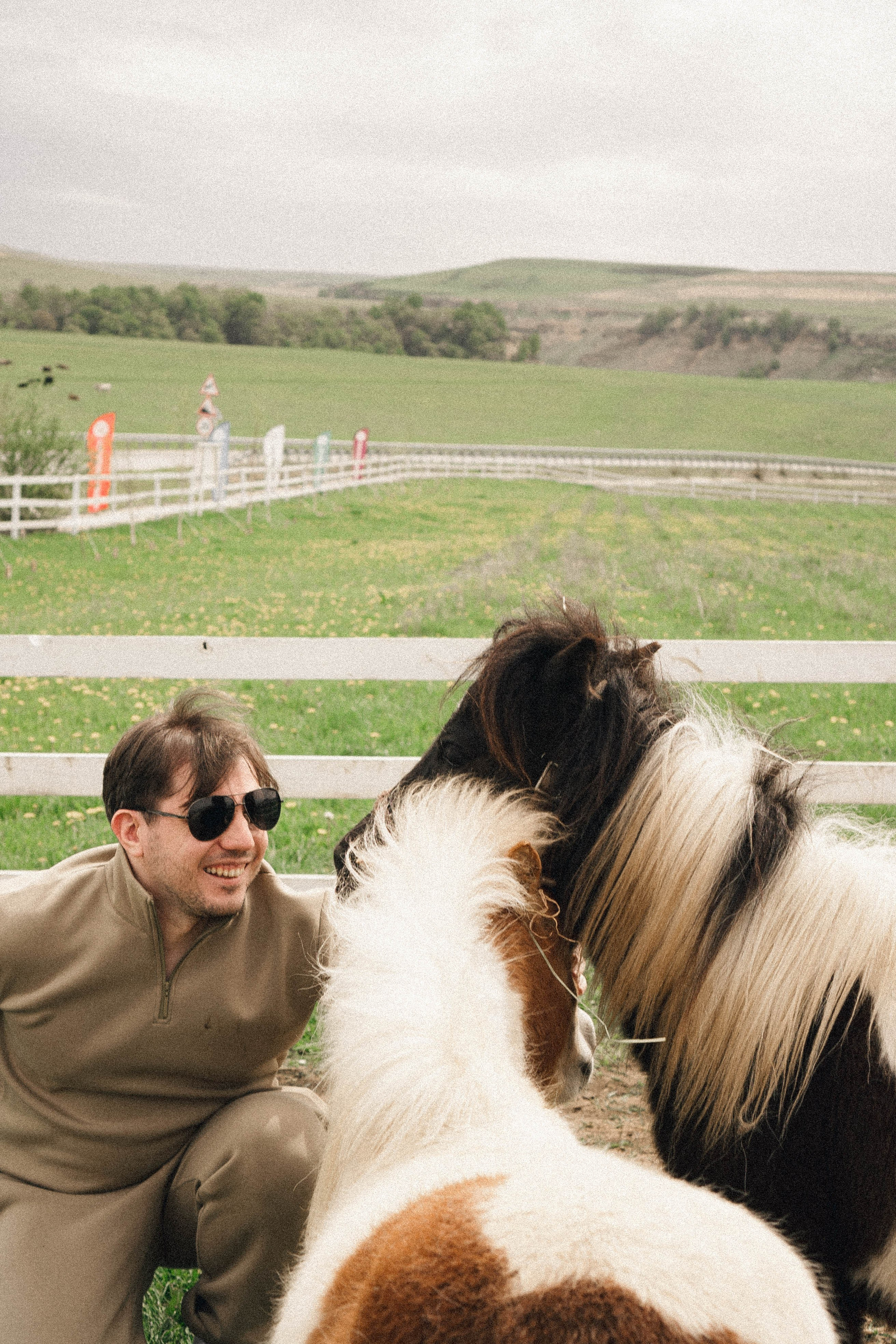 Ферма Альпак. Профессиональный фотограф, Санкт-Петербург — Виктория Богомолова