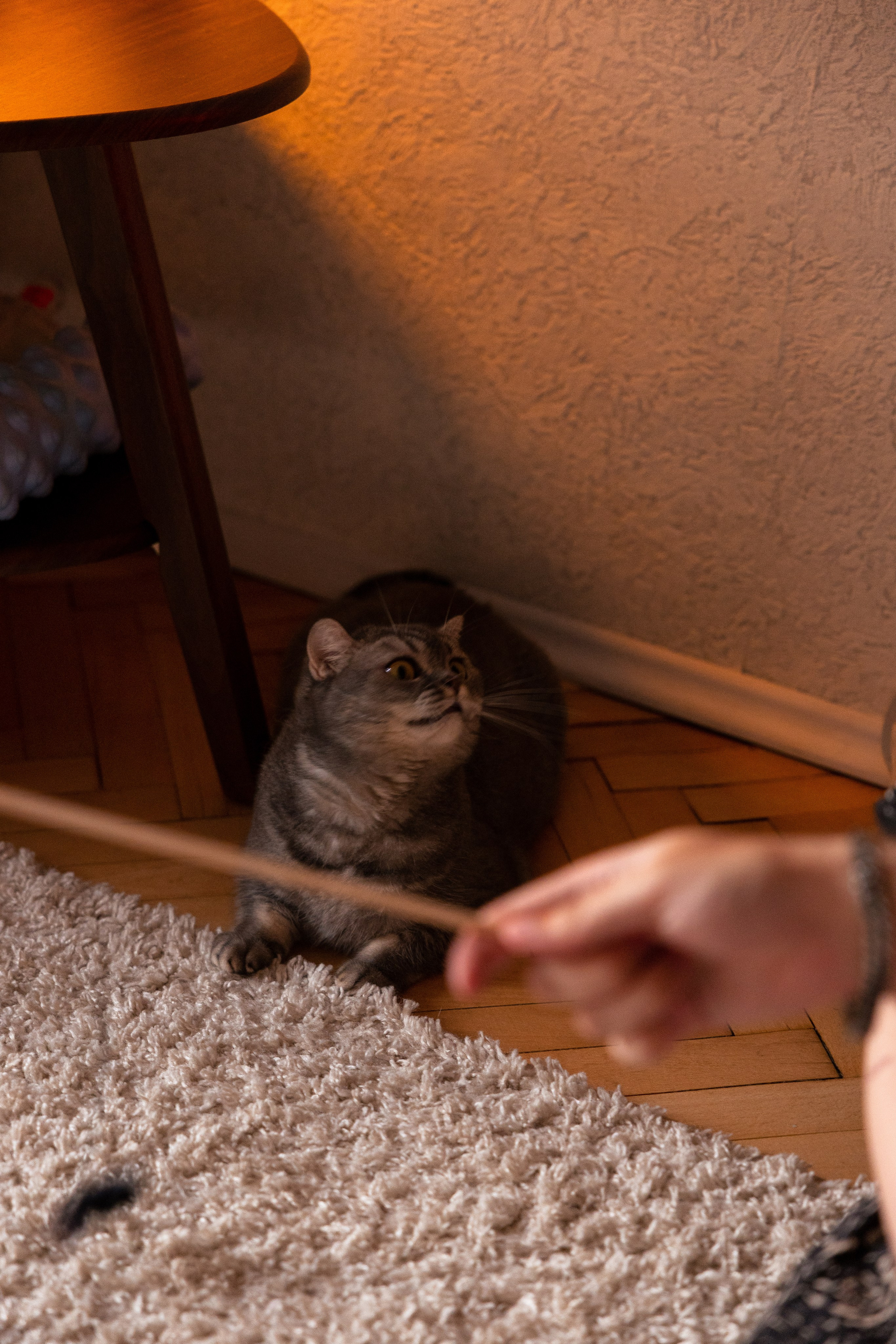 Домашние посиделки. Питерский фотограф