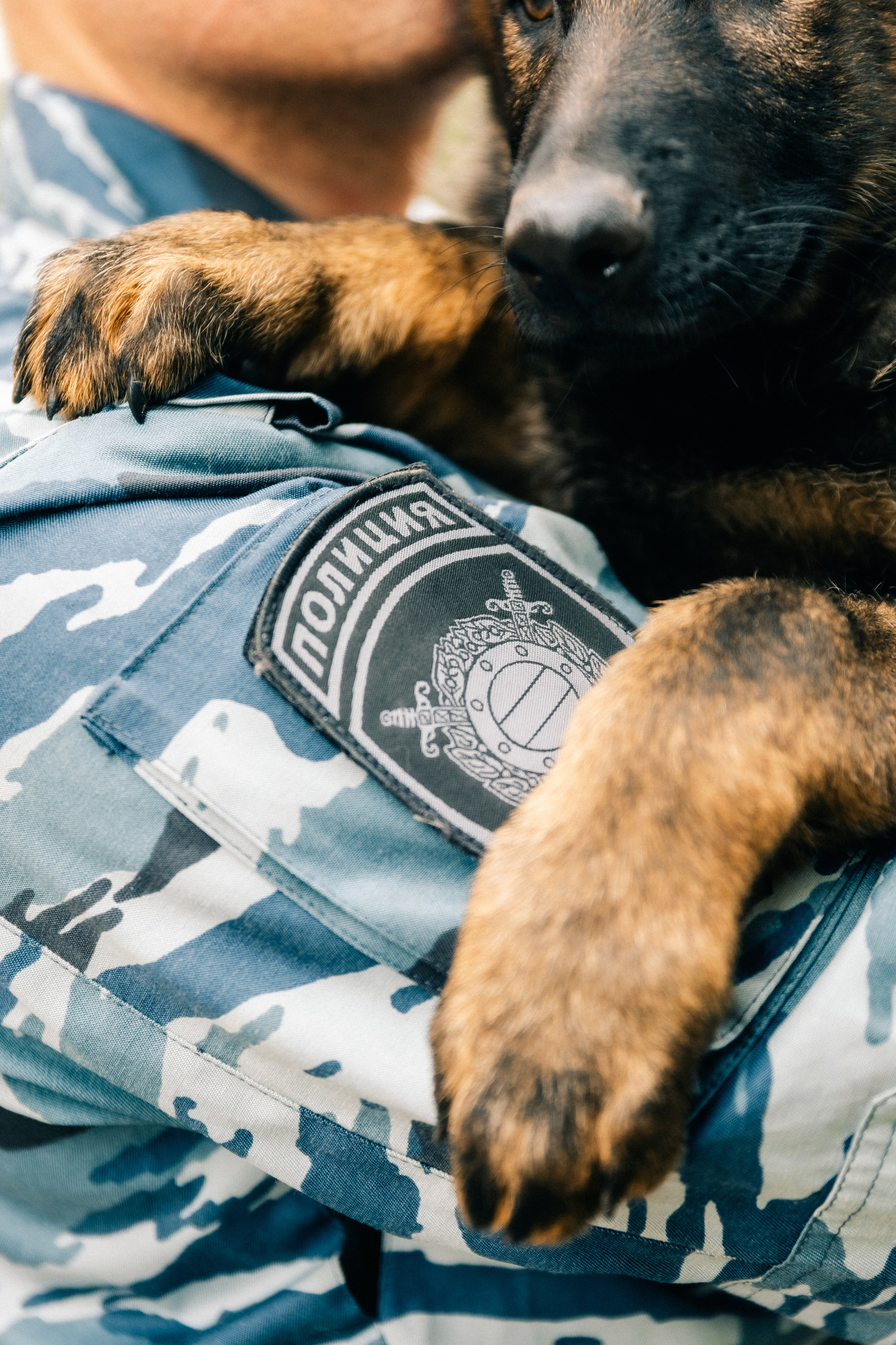 Проект для ГУ МВД г. Москва. Фотограф в Москве и МО Влада Обласова