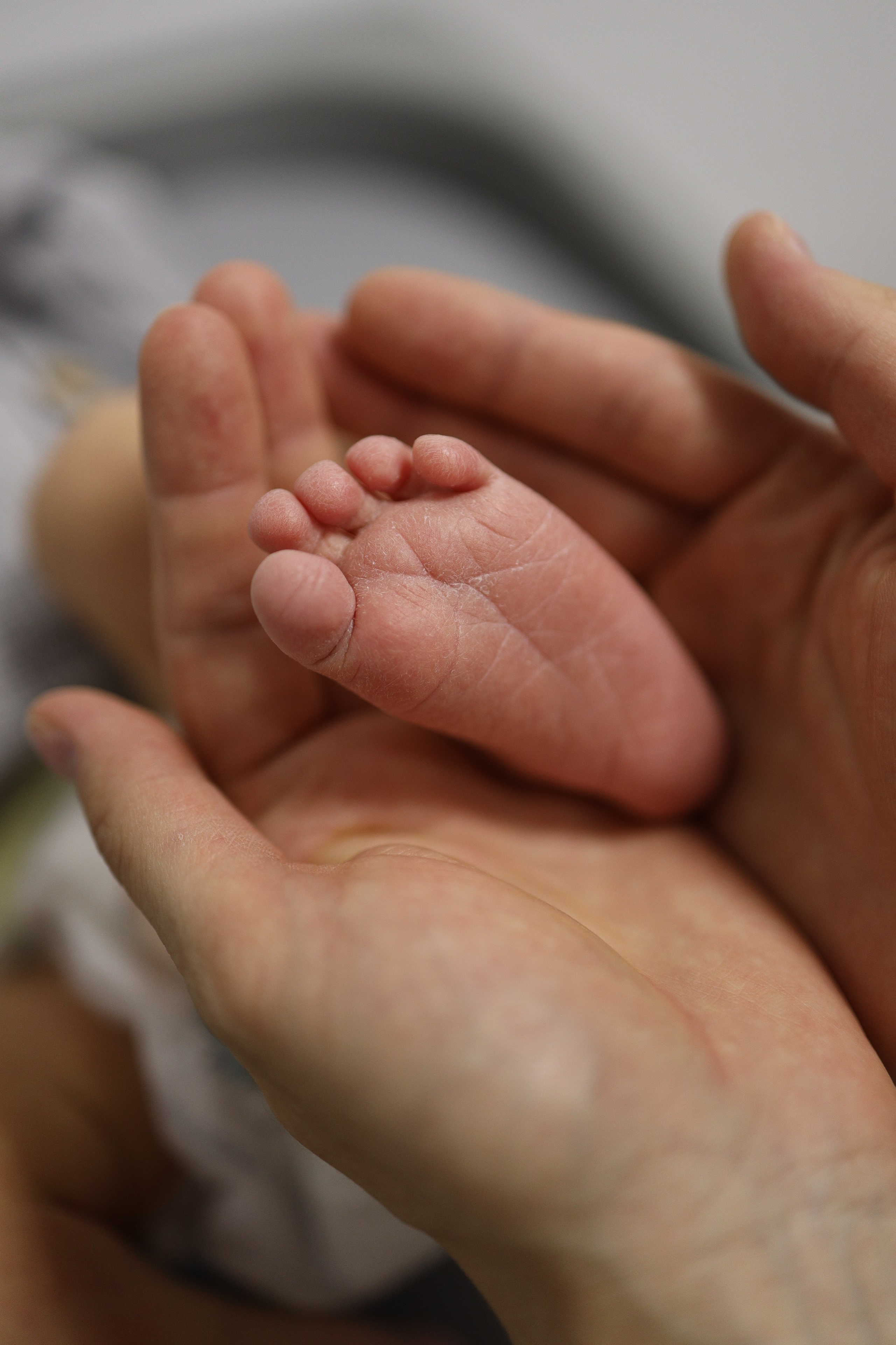 Выписка из род. дома. Майорова Валерия Фотограф Ставрополь