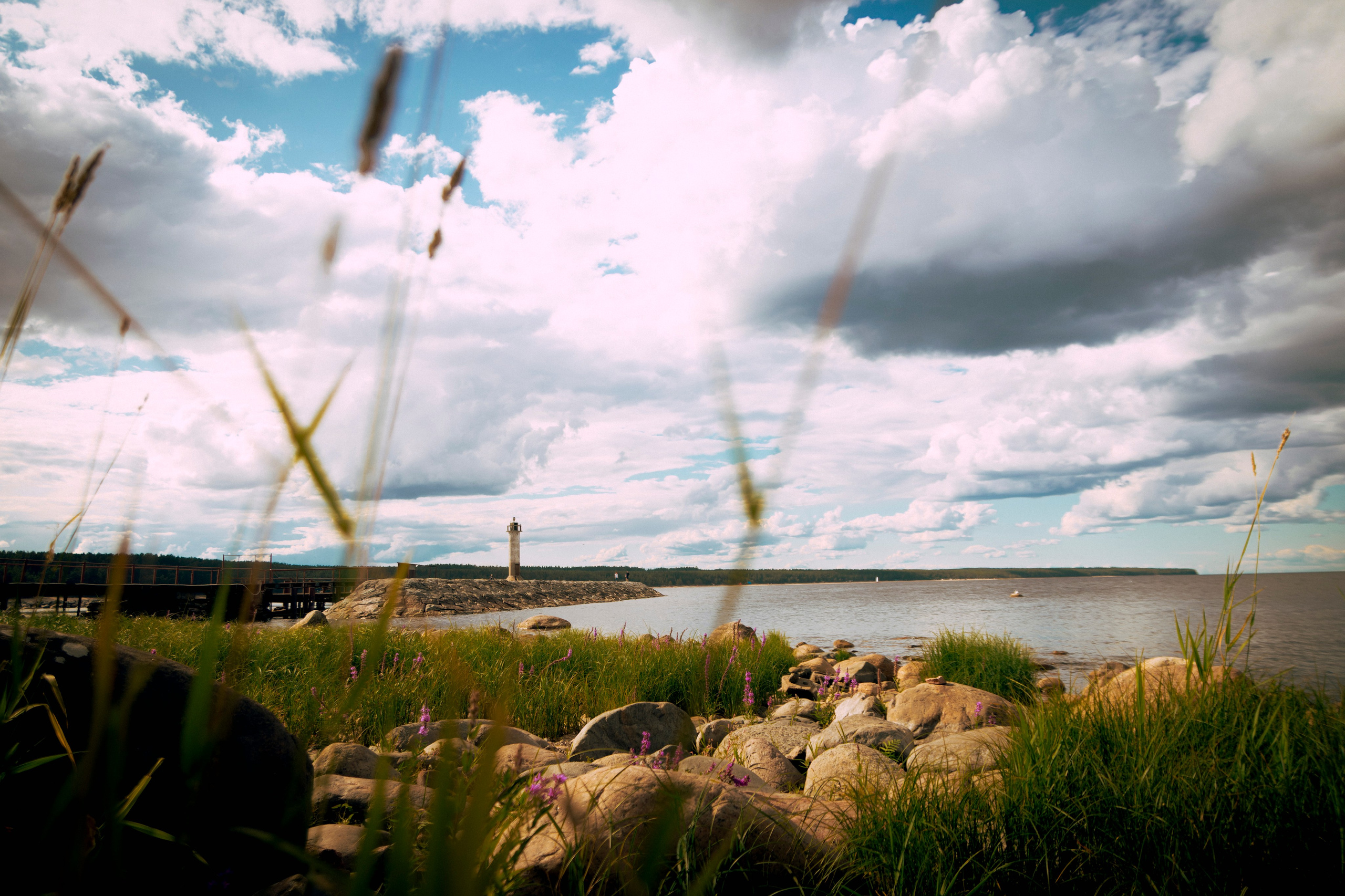 Из наблюдений. Плак или Квак