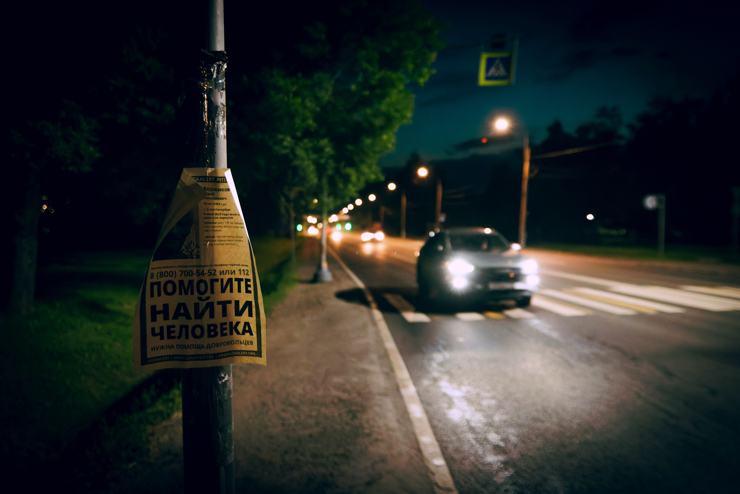 Из наблюдений. Плак или Квак