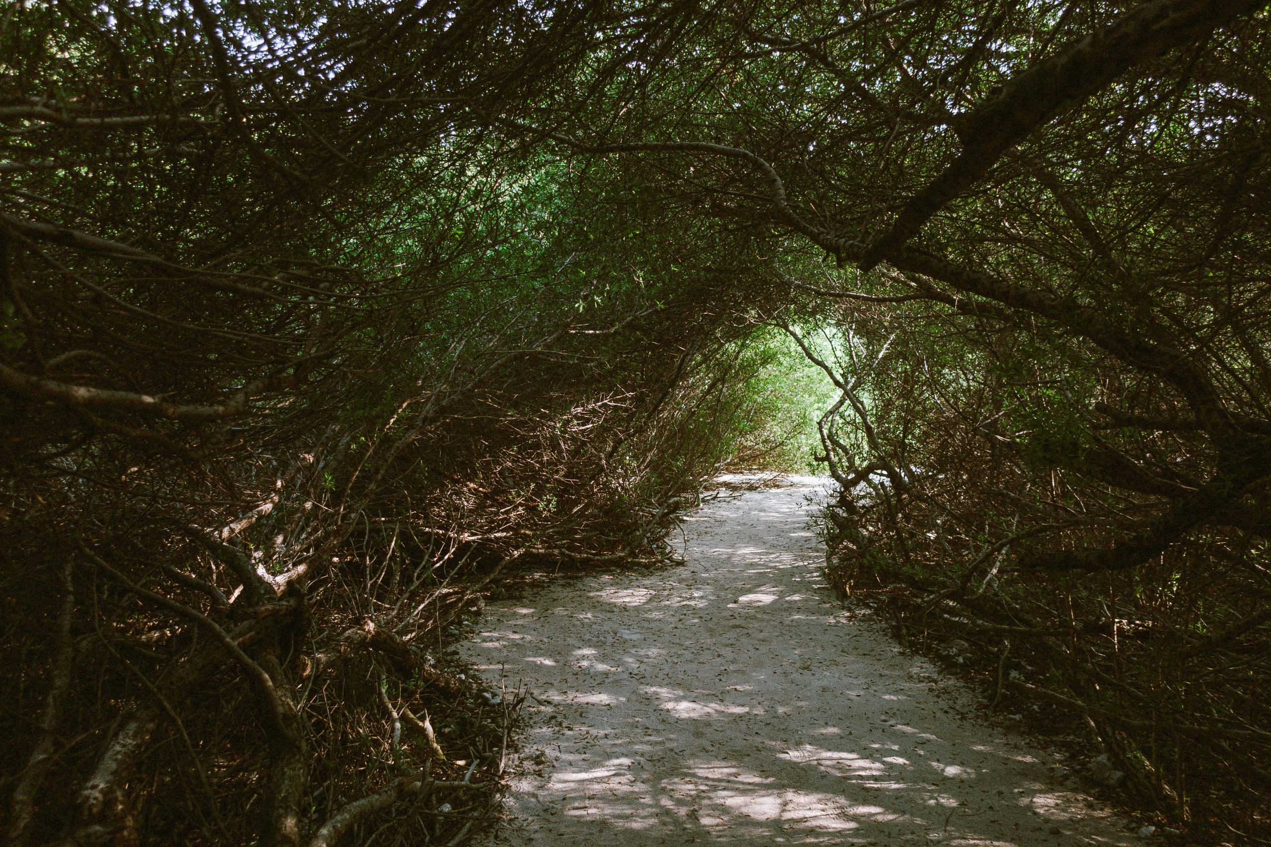 О.Тулусду. Мальдивы. Фотограф Светлана Голицына