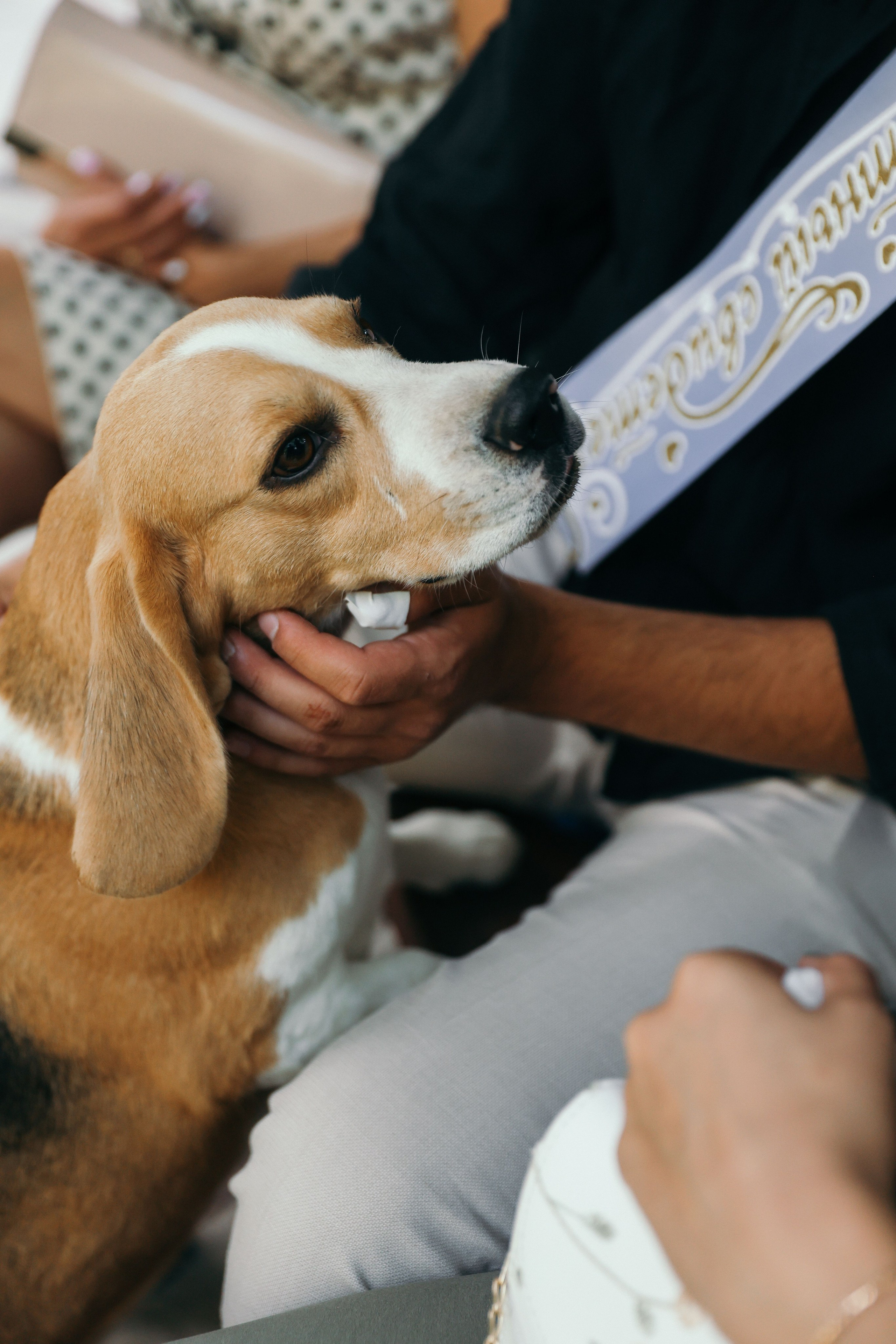 Анонс свадьба Кирилл и Мария. Свадебный и семейный фотограф в Севастополе и Крыму Анастасия Сураева