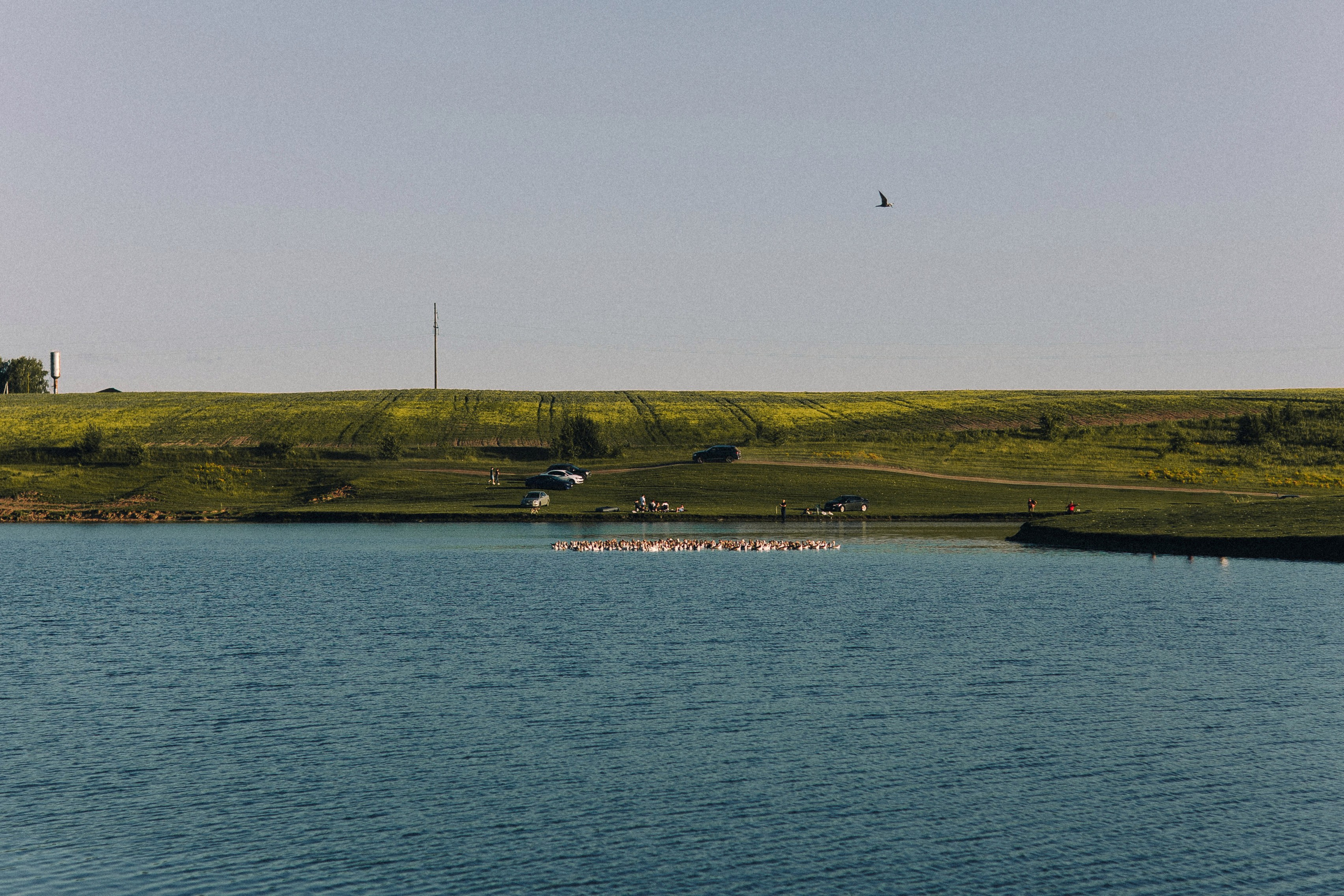 Серёжа & Настя. ФОТОГРАФ РОЗА ФИЛИНА СПб I МОСКВА