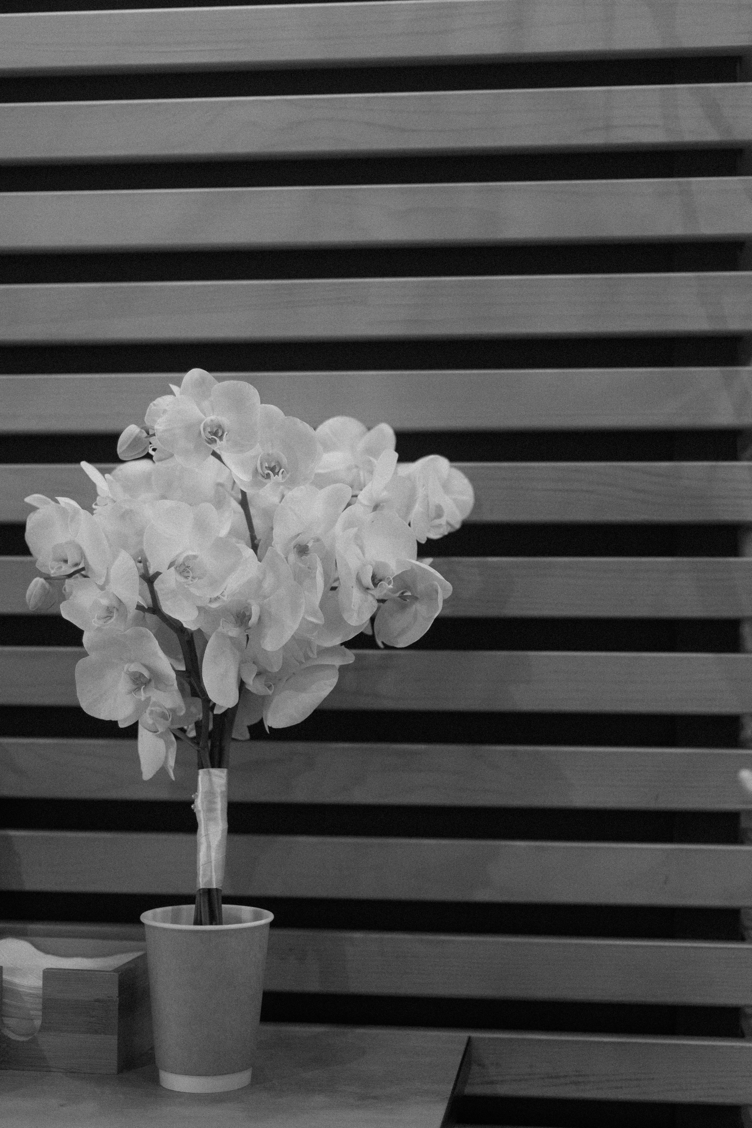 Дмитрий & Елена. Свадебный фотограф Санкт-Петербург