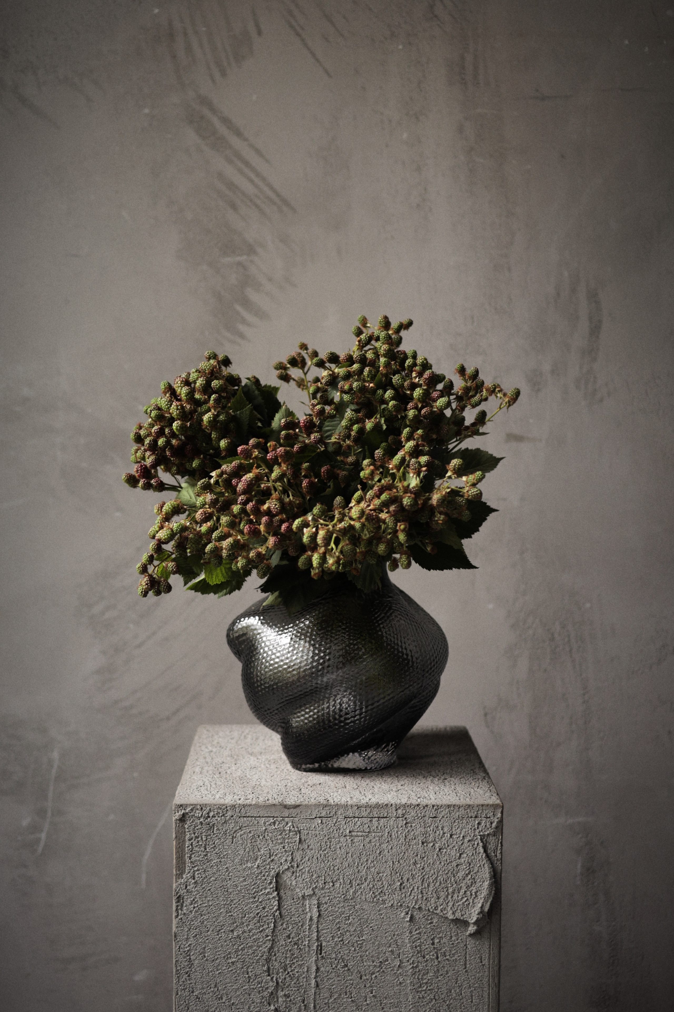 Flowers. Виктория Калугина — фотограф и видеомейкер в Москве