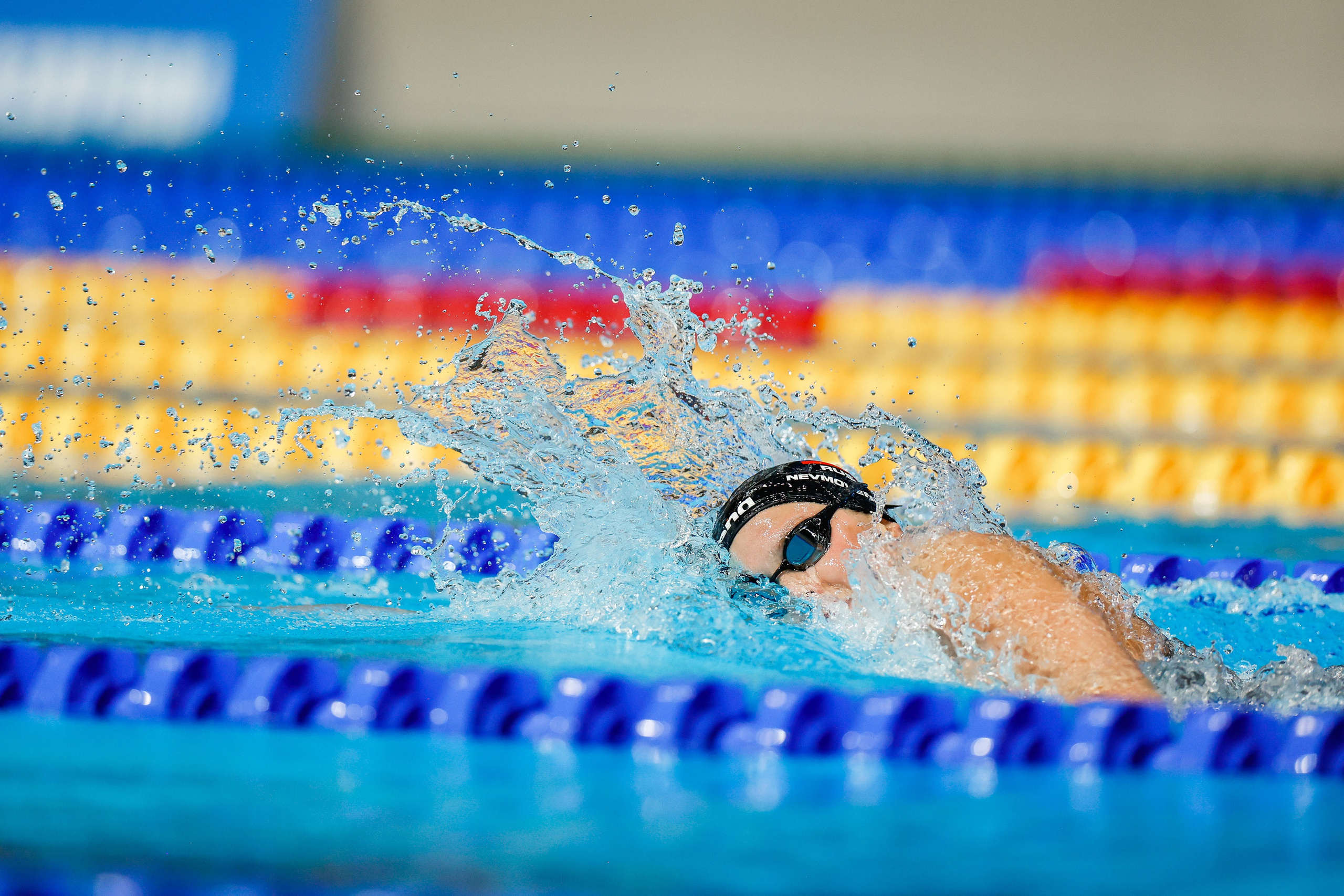 Чемпионат России по плаванию 2023. Спортивный репортажный фотограф Казань Нафис Сиразетдинов