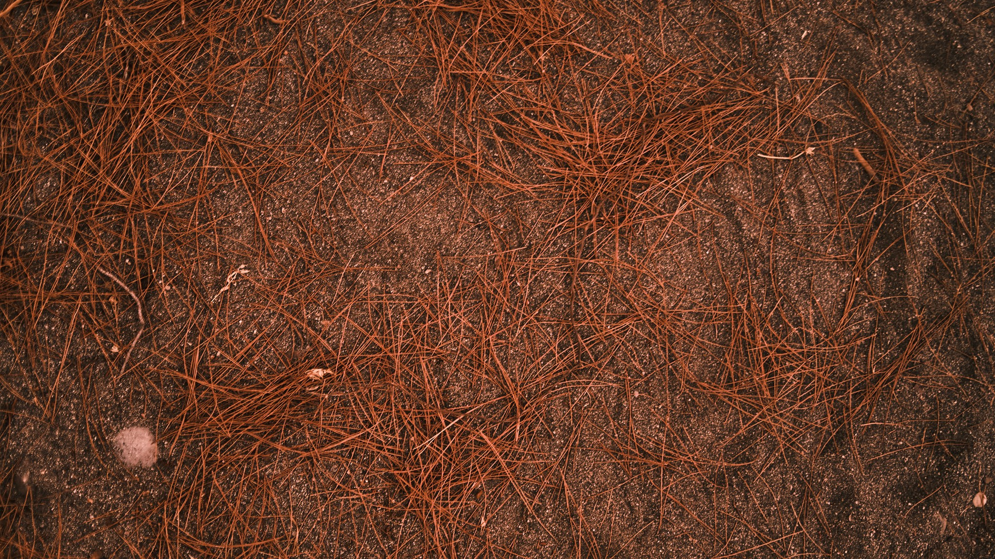 Фотограф Владимир Кононенко