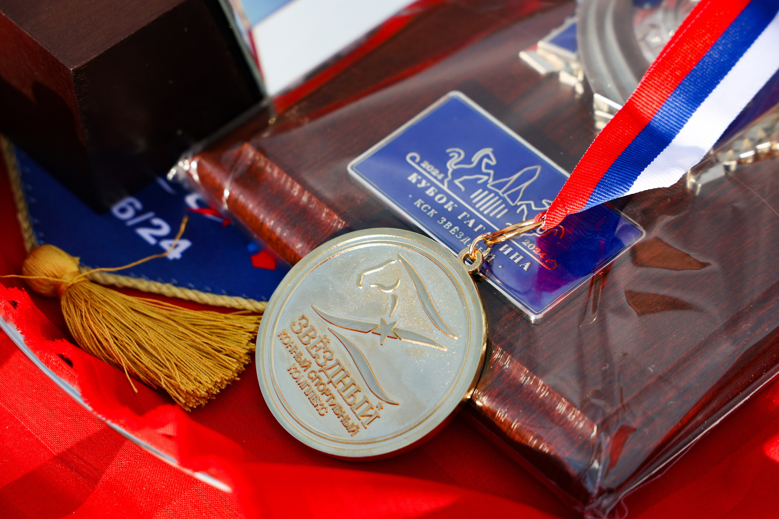 КСК «Звёздный». Кубок Гагарина. Свадебный и Event фотограф в Москве Бажина Ирина