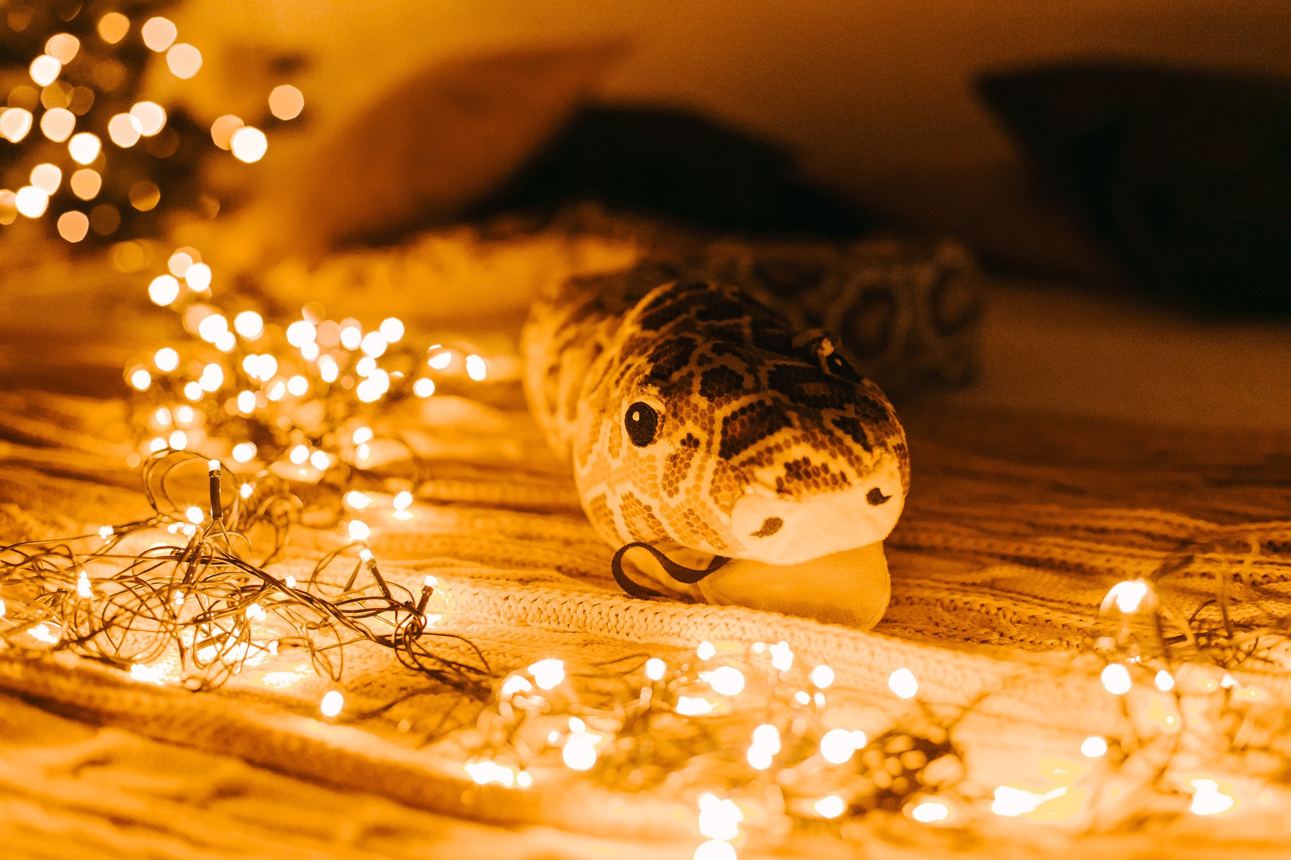 Студия Летт Лофт. Фотограф г. Хабаровск. Семейные и индивидуальные съёмки