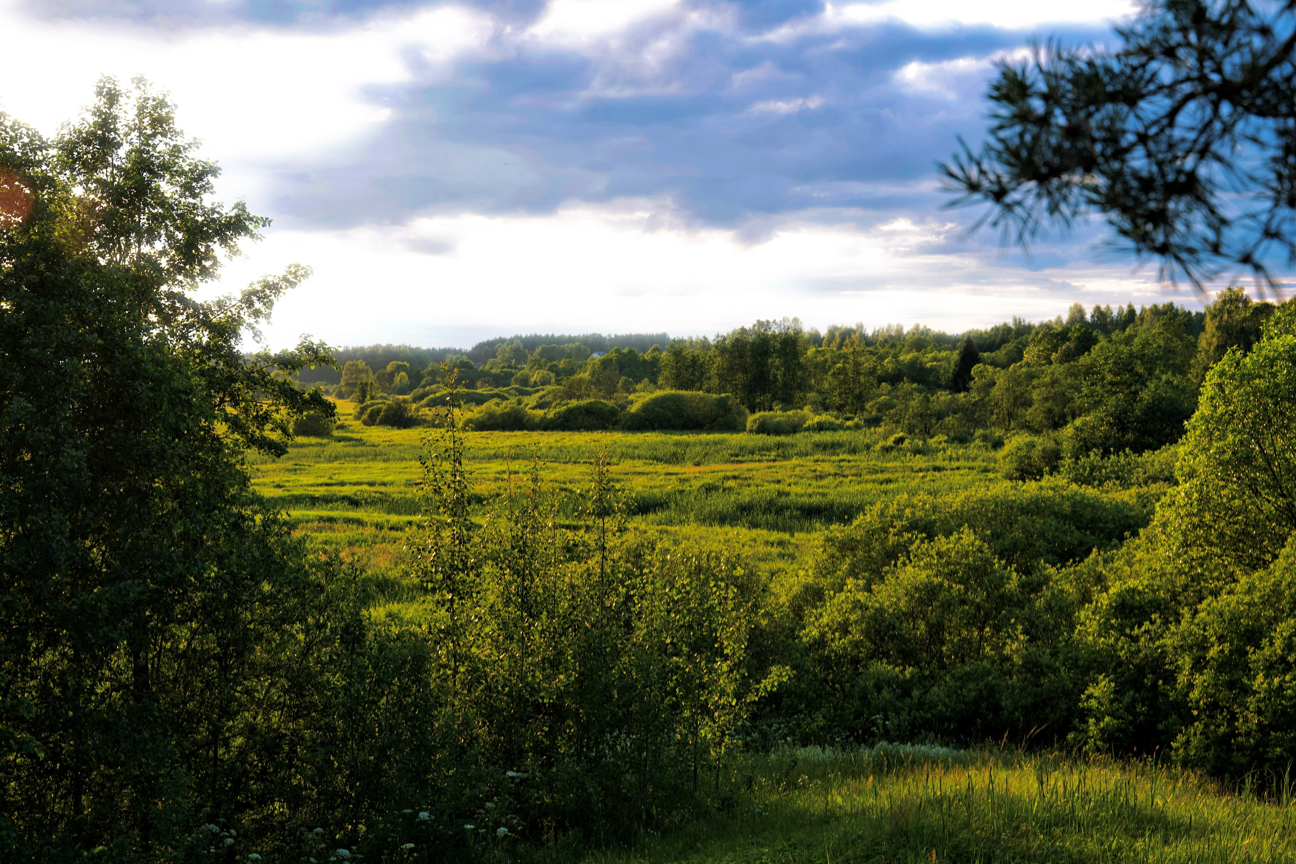 ПРИРОДА. Разноплановый фотограф из Москвы/Твери