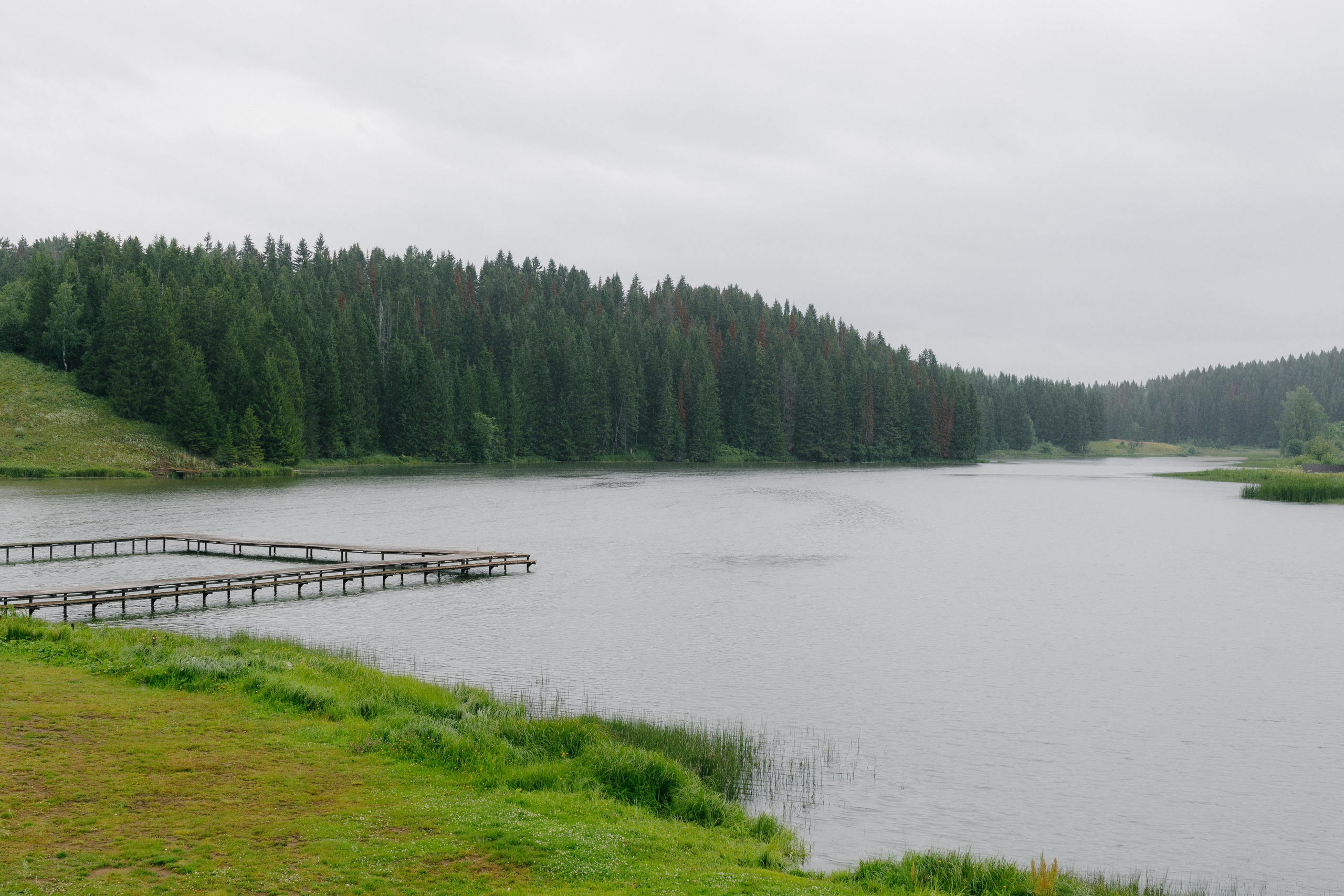 Настя и Женя. Свадебный и семейный фотограф в Перми Дергачева Кристина