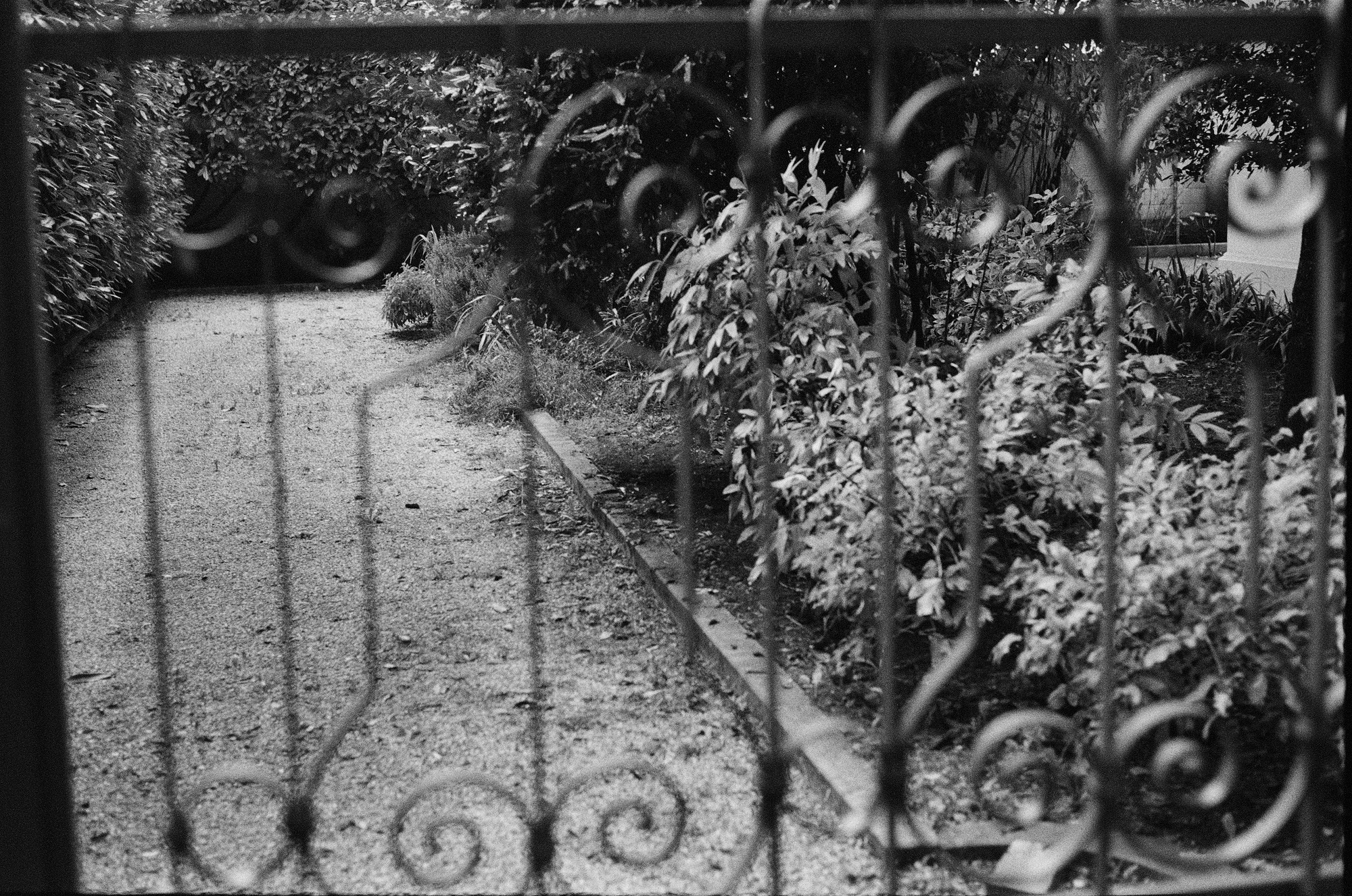 A gastroturist. Udine (Northern Italy). Another person Pavel Potseluev. A photographer in 2025