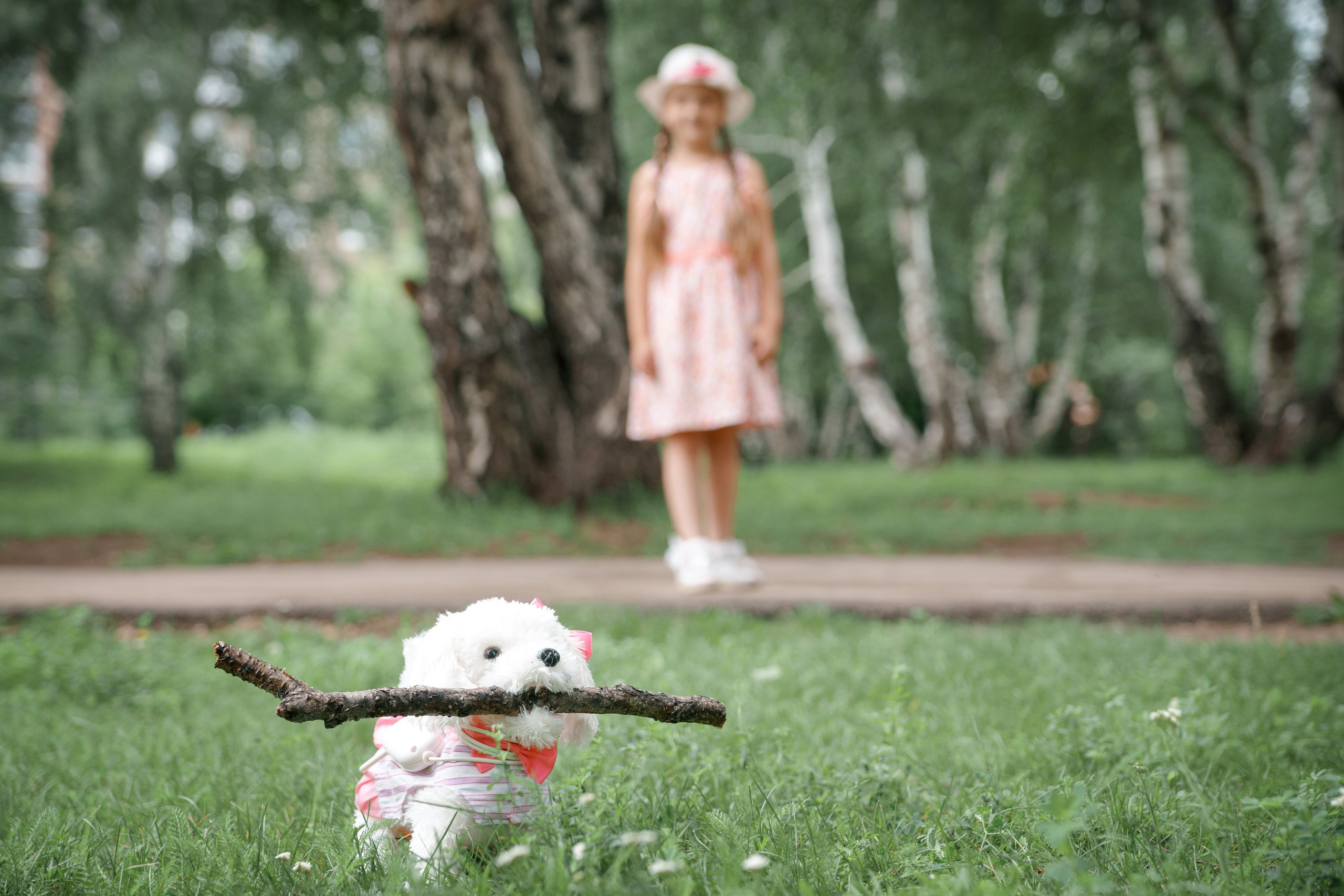 Детская фотосессия летом - щенок взял палочку