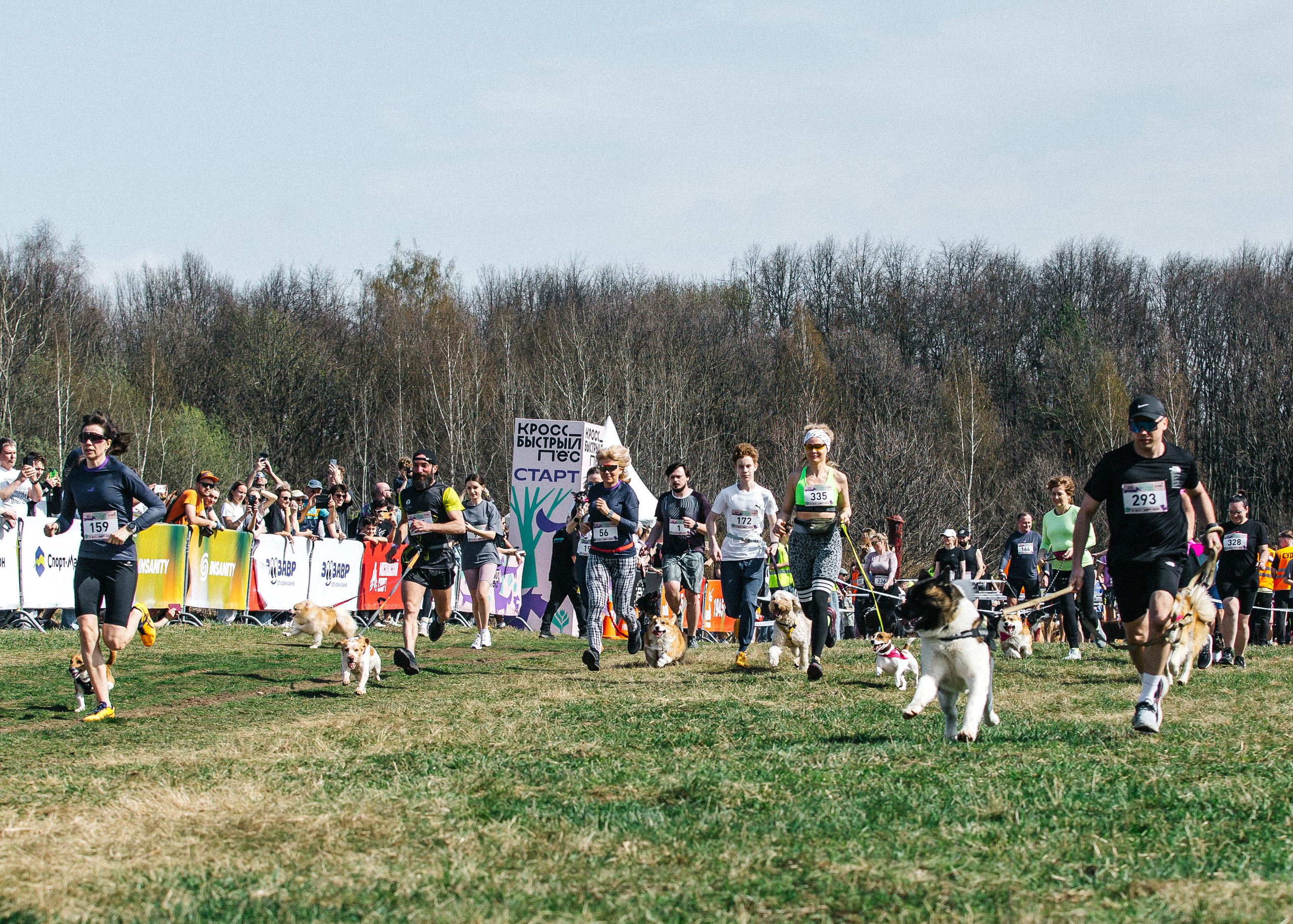 Кросс «Быстрый пёс» 2025. Репортажный фотограф в Москве