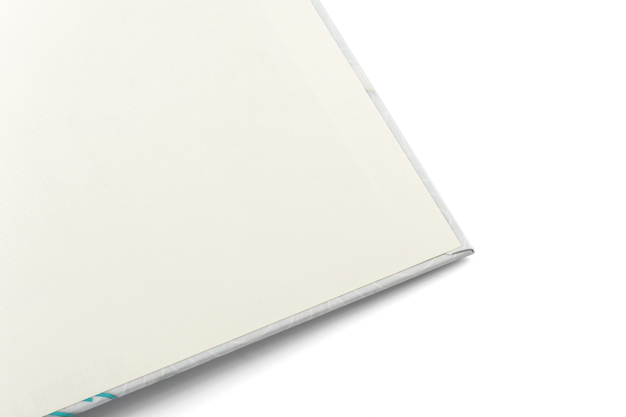 Постраничка. Выпускные альбомы в Томске. Леднева Олеся