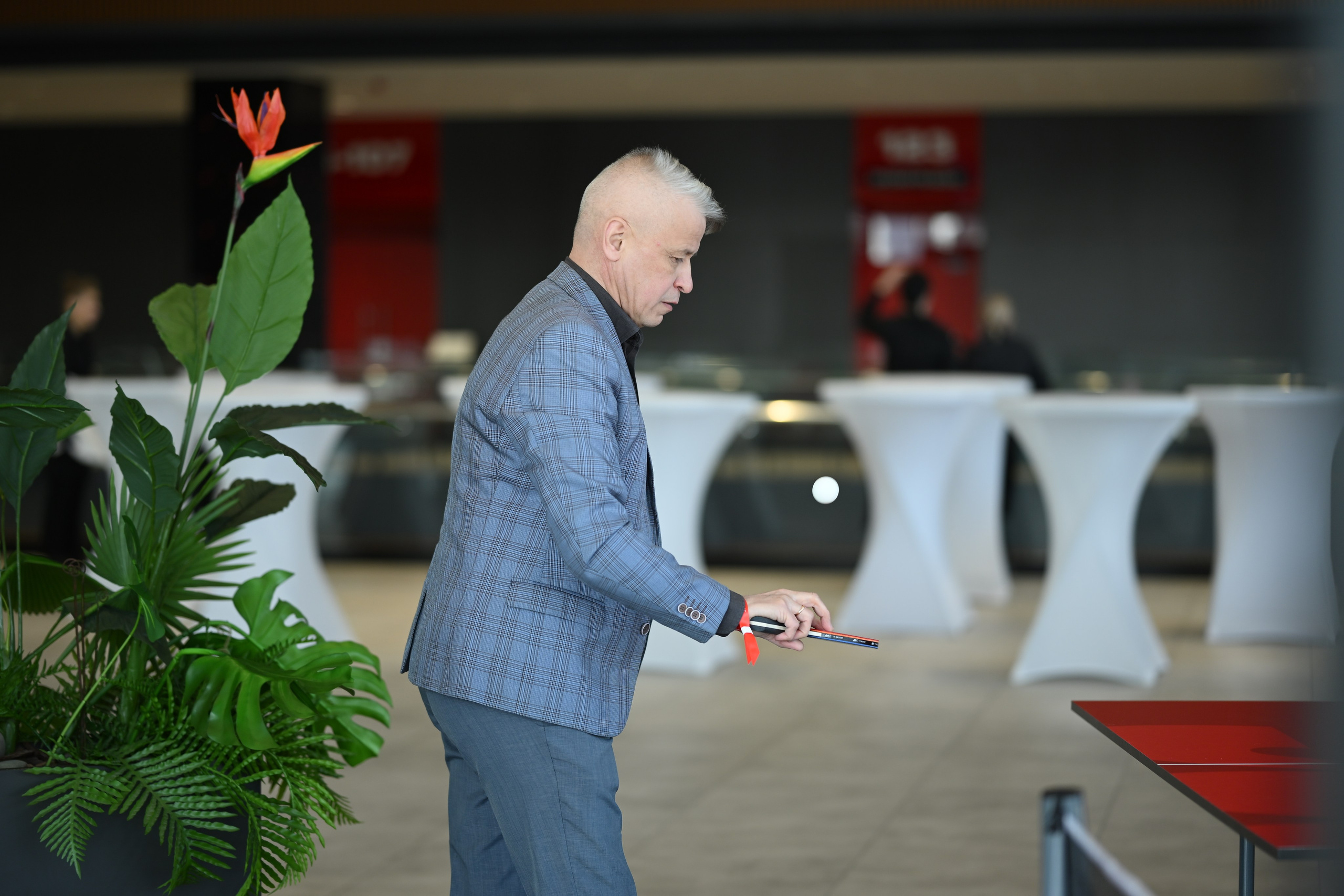 Me conf | Live Arena. Портфолио