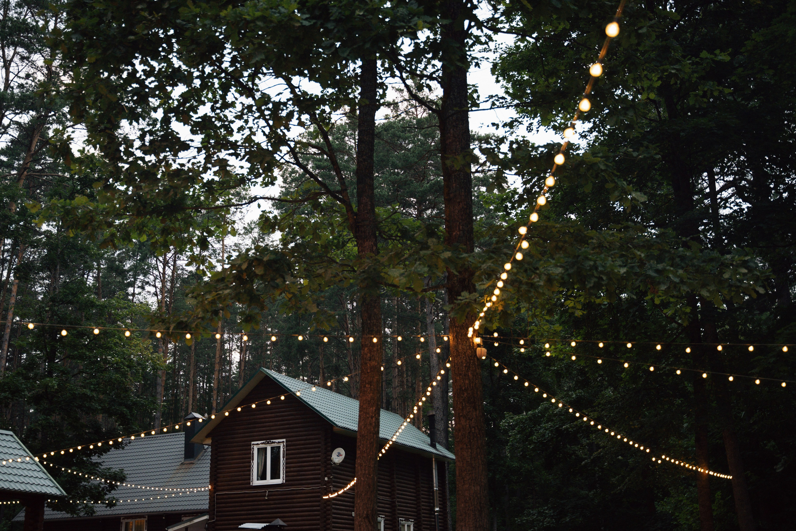 Никита и Ангелина. Свадебный и портретный фотограф в Брянске и Москве Алина Химушкина