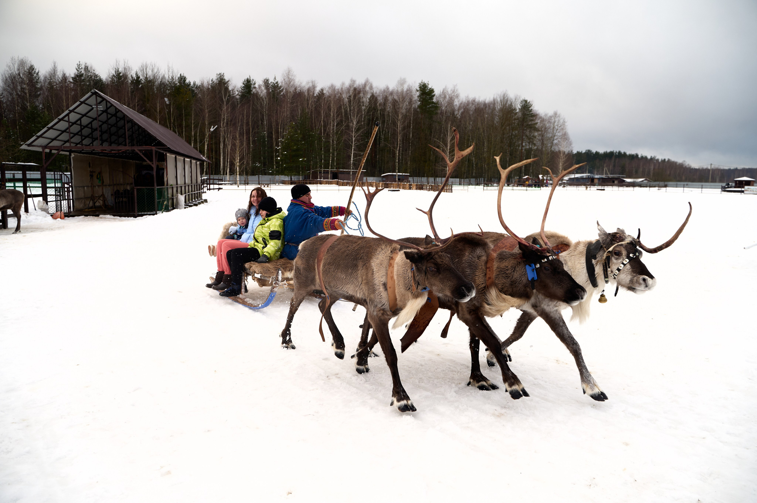 2023.12.30 Ирина Богдан Адам. Фотограф Егорьевск Коломна Воскресенск