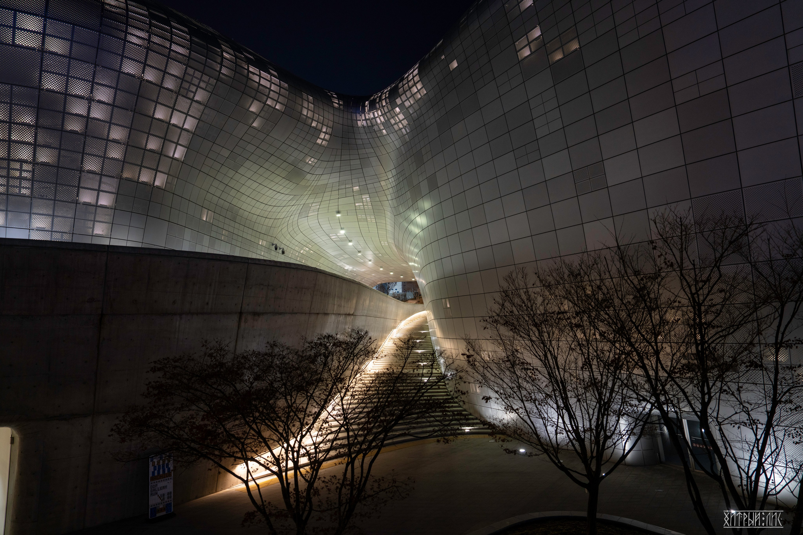 Южная Корея. Фотограф-путешественник Самойлов Максим «Sly Fox»