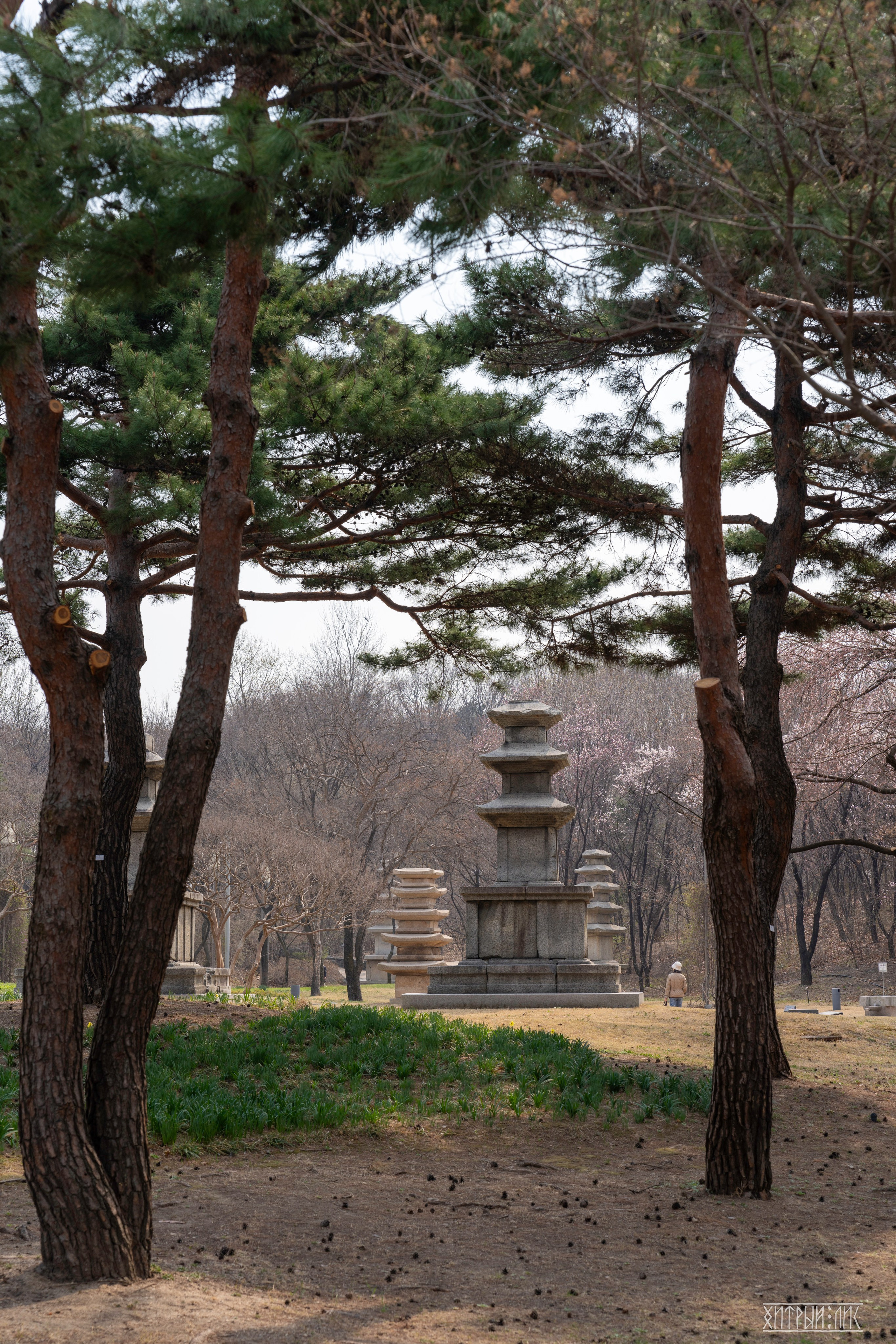 Южная Корея. Фотограф-путешественник Самойлов Максим «Sly Fox»