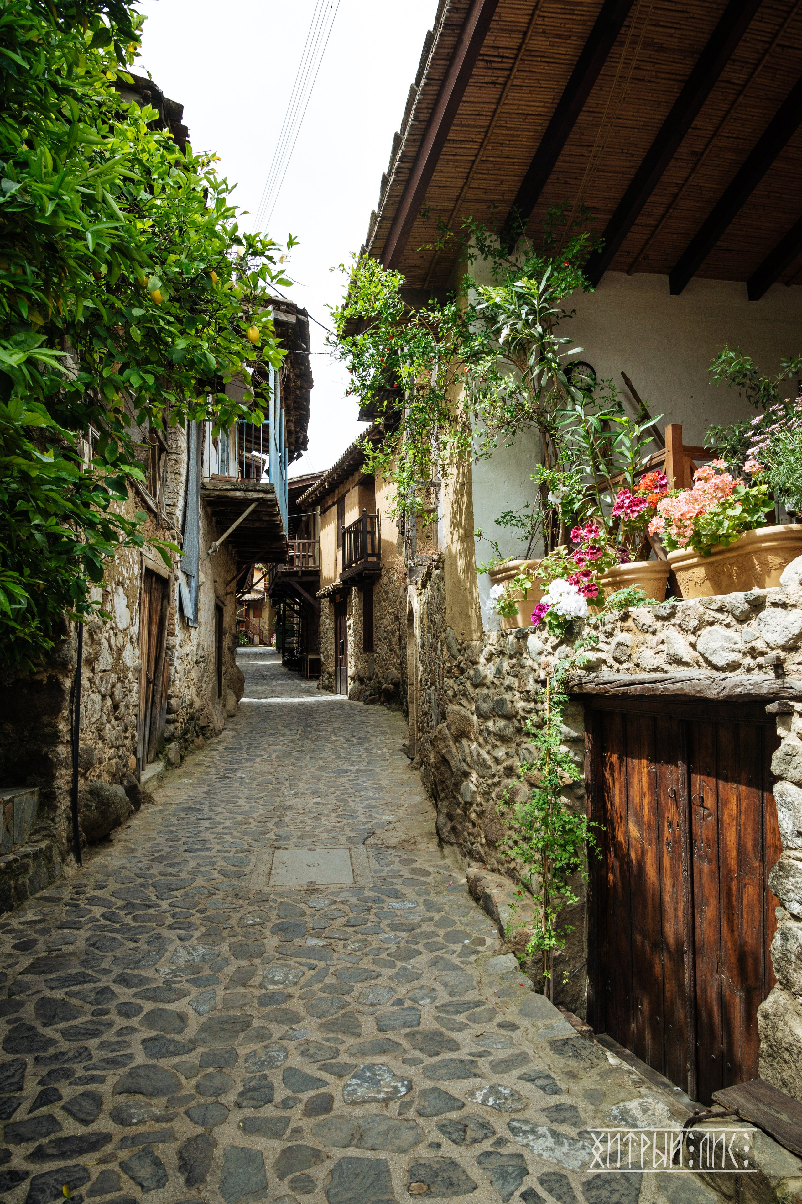 Кипр. Фотограф-путешественник Самойлов Максим «Sly Fox»