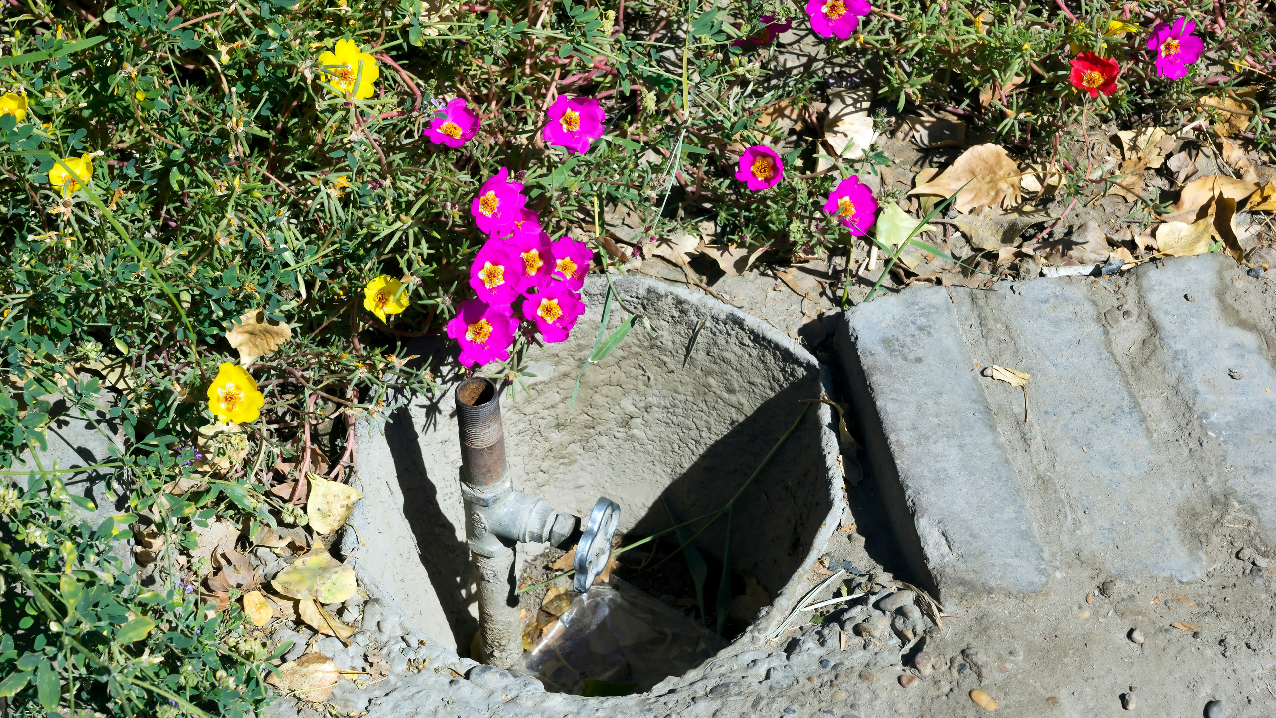 Узбекистан. Фотограф-путешественник Самойлов Максим «Sly Fox»