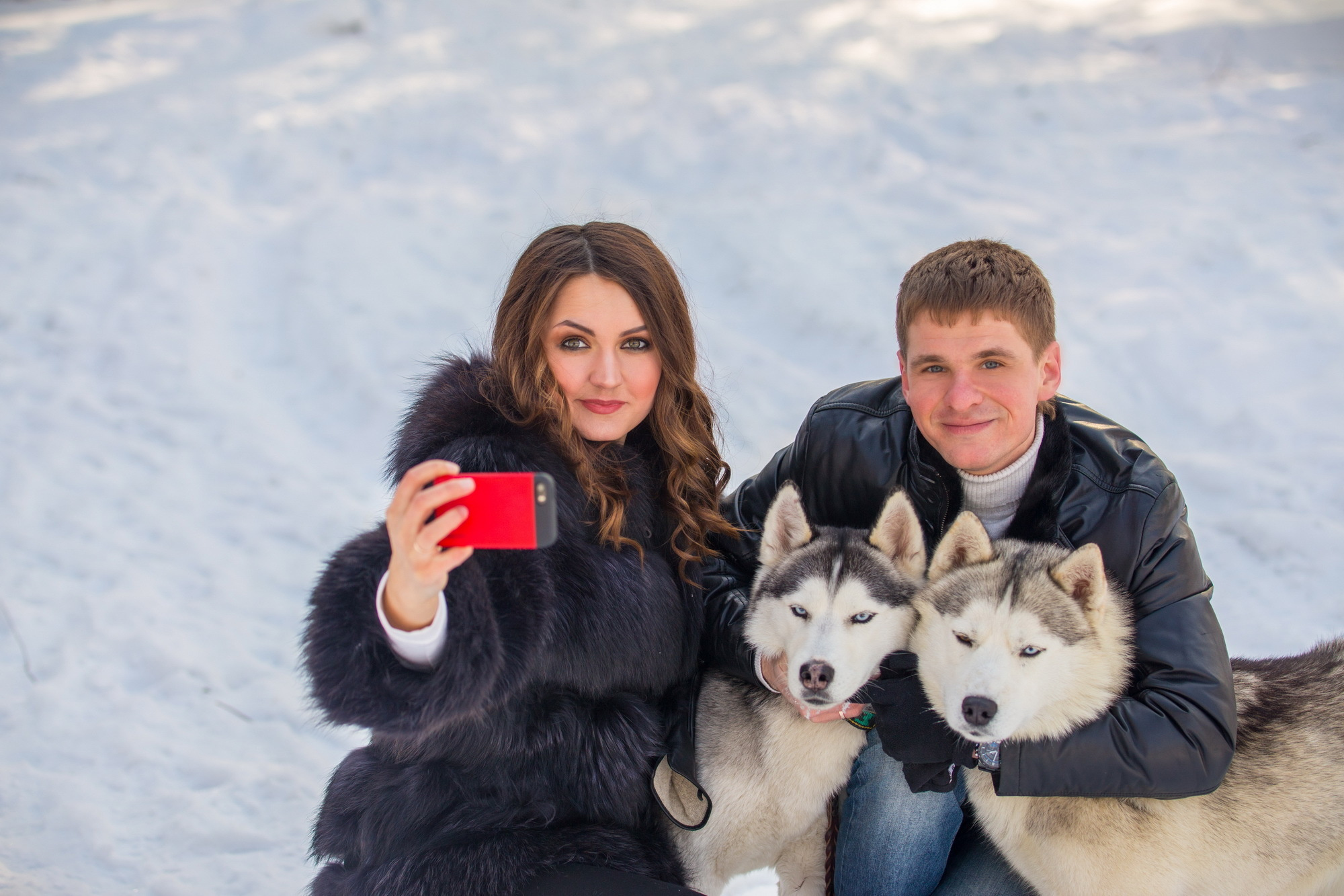 Фотосессия с хаски Иркутск. Фотограф видеограф Иркутск фото видео студия Алексея Марамзина