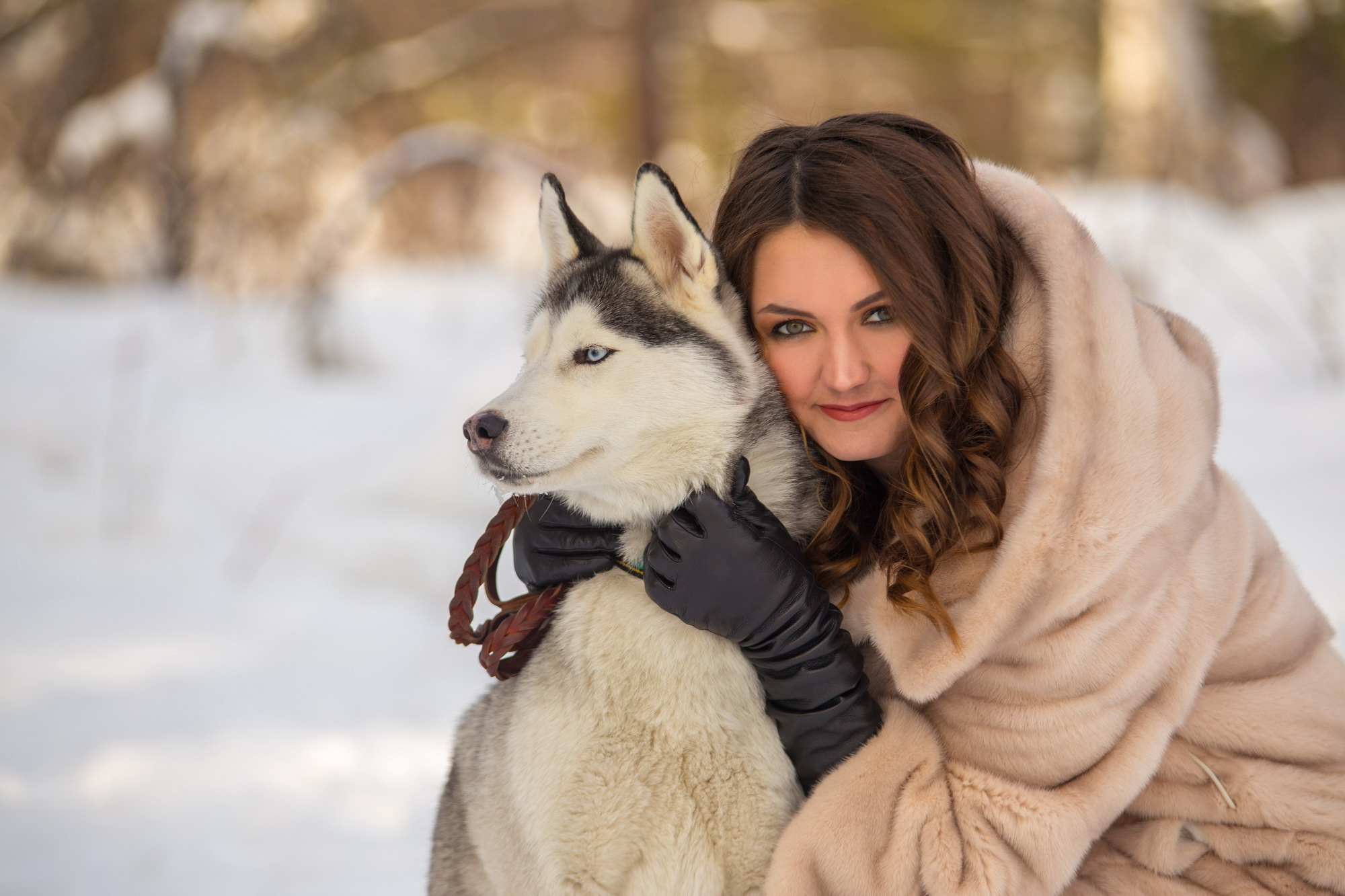 Фотосессии с хаски в Иркутске. Фотограф видеограф Иркутск фото видео студия Алексея Марамзина