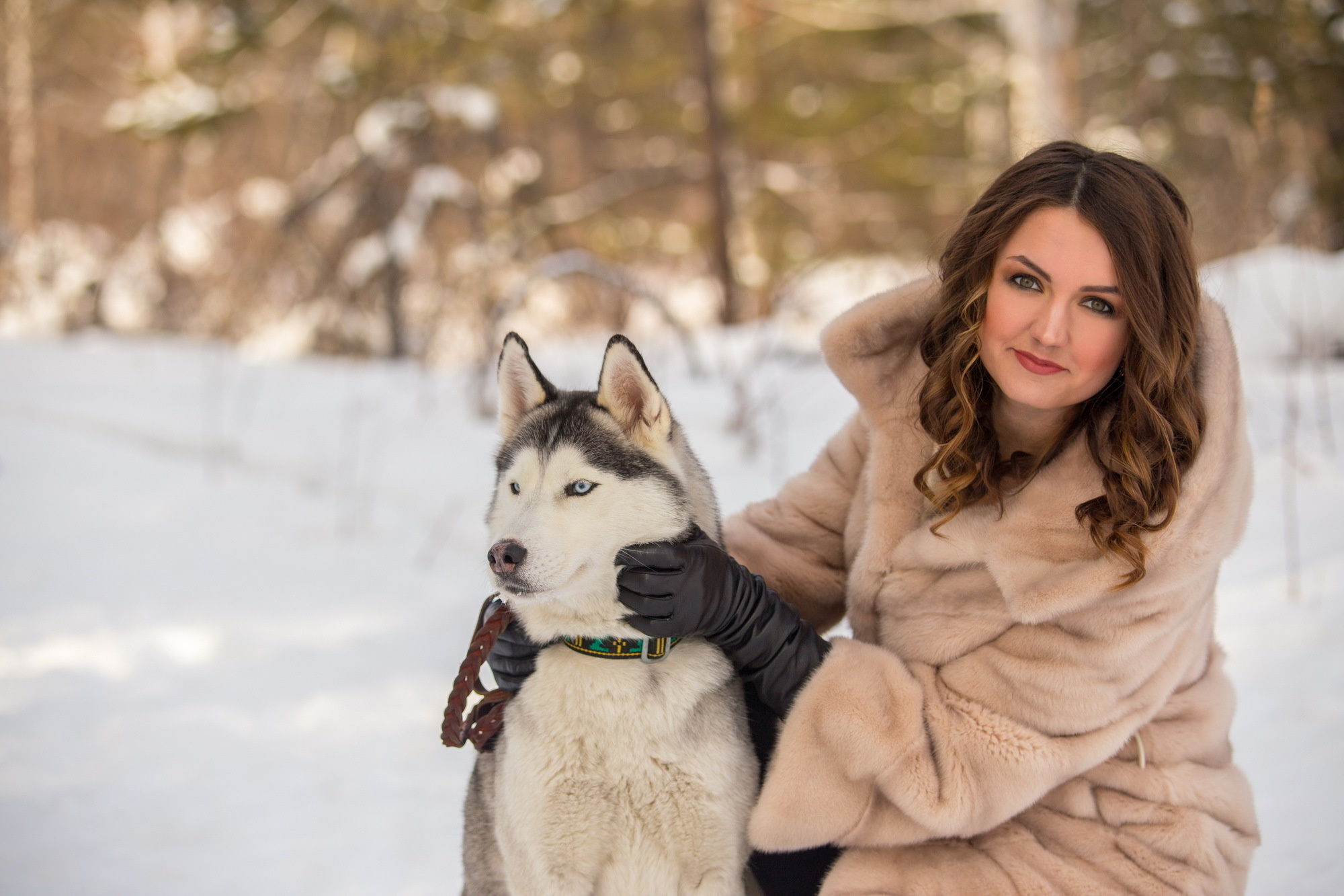 Фотосессия с хаски Иркутск. Фотограф видеограф Иркутск фото видео студия Алексея Марамзина