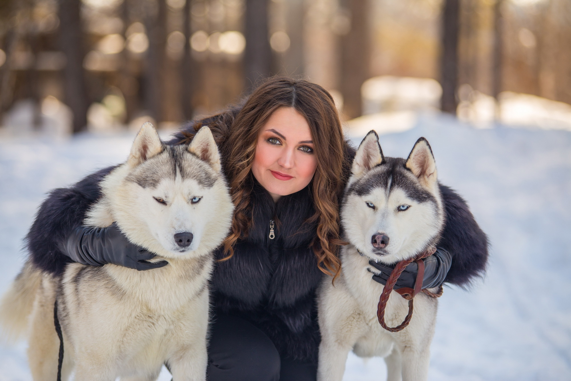 Фотосессия с хаски Иркутск. Фотограф видеограф Иркутск фото видео студия Алексея Марамзина