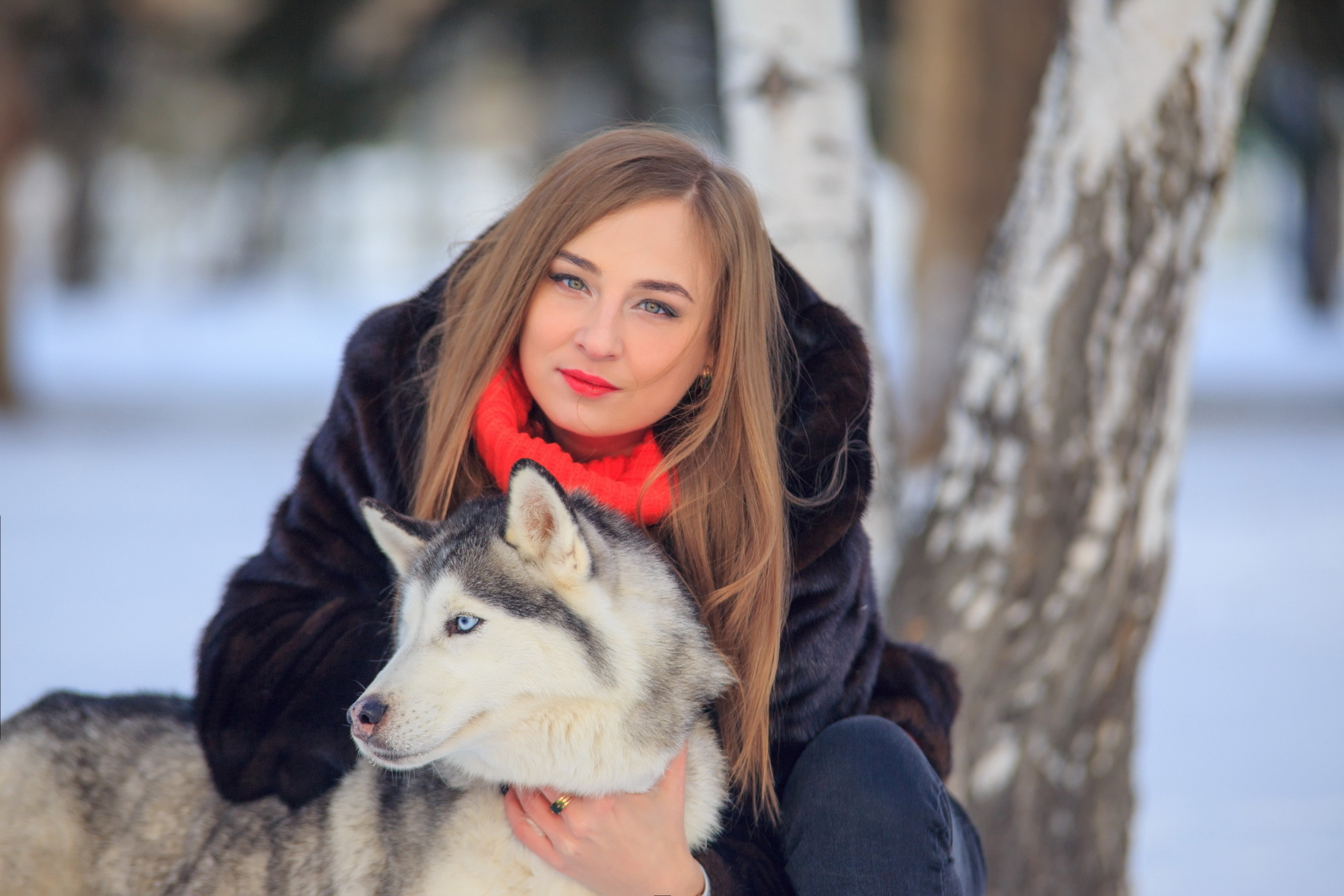 Фотосессия с хаски Иркутск. Фотограф видеограф Иркутск фото видео студия Алексея Марамзина