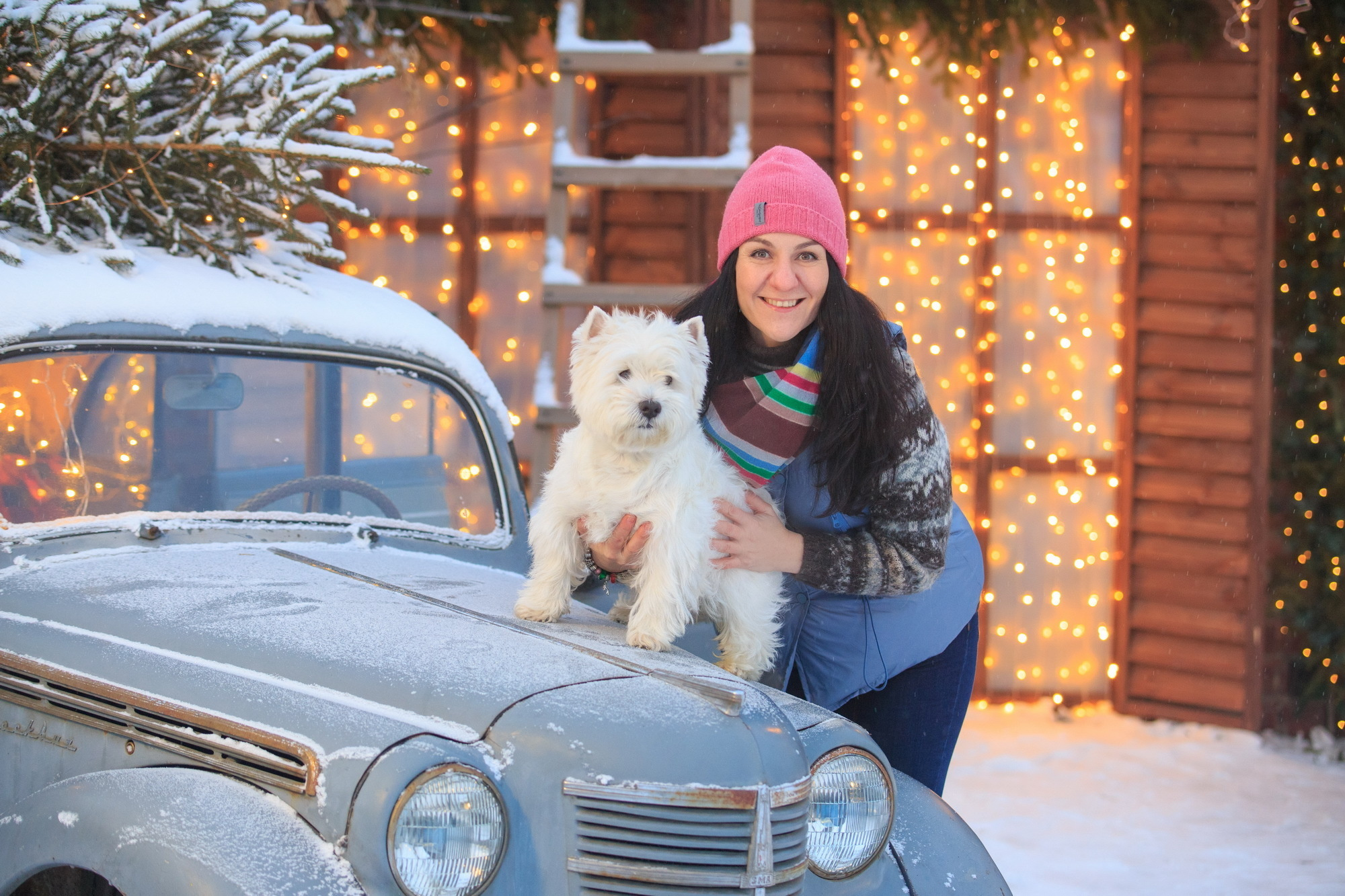 Фотосессии с хаски в Иркутске. Фотограф видеограф Иркутск фото видео студия Алексея Марамзина