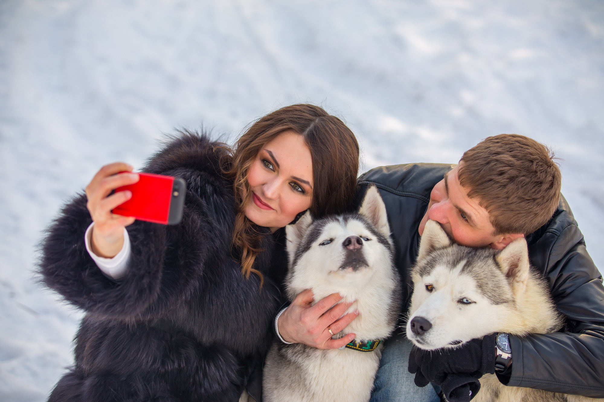 Фотосессия с хаски Иркутск. Фотограф видеограф Иркутск фото видео студия Алексея Марамзина