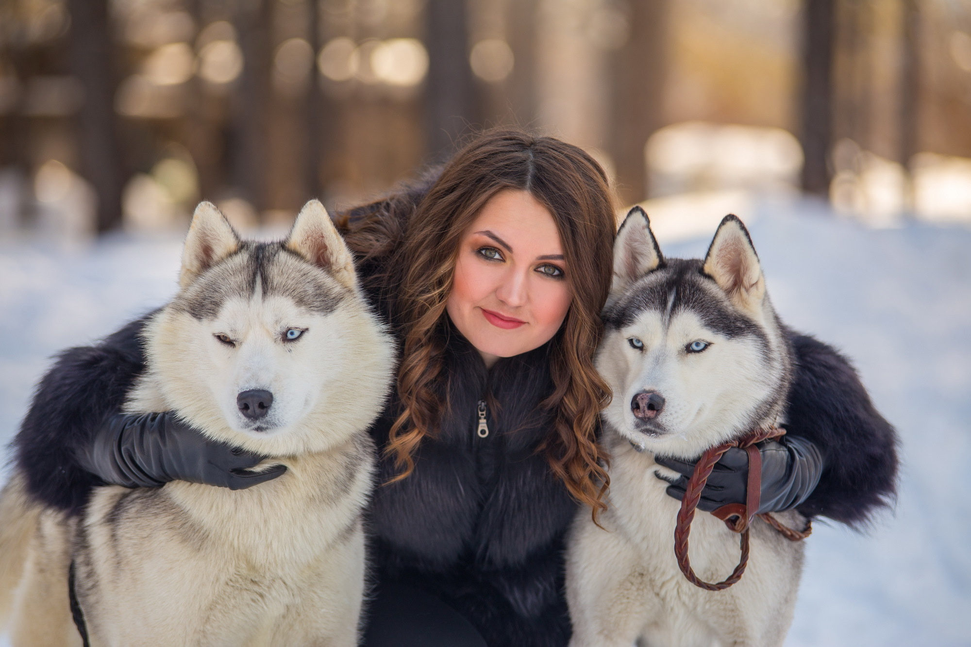 Фотосессии с хаски в Иркутске. Фотограф видеограф Иркутск фото видео студия Алексея Марамзина