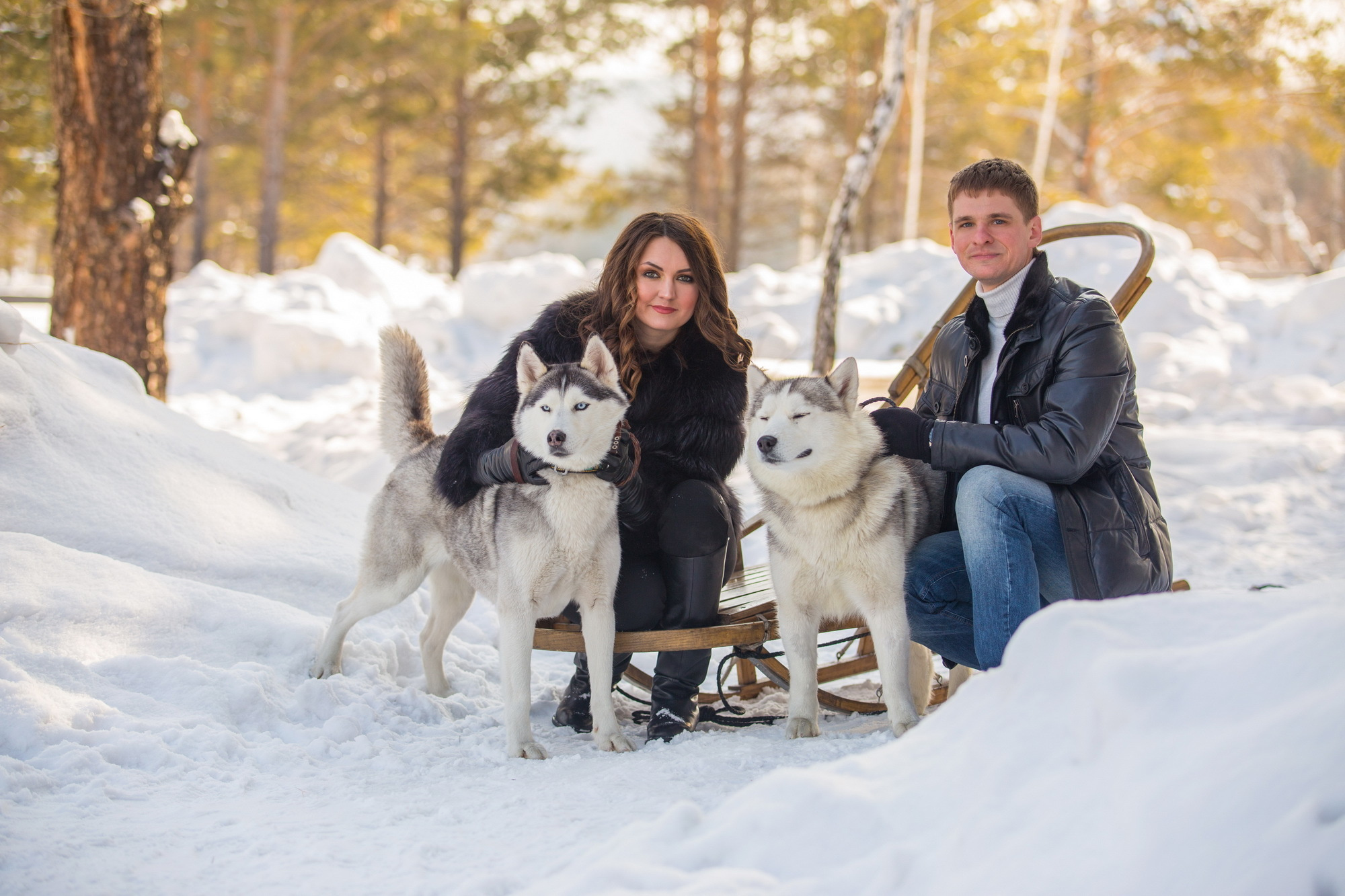 Фотосессии с хаски в Иркутске. Фотограф видеограф Иркутск фото видео студия Алексея Марамзина