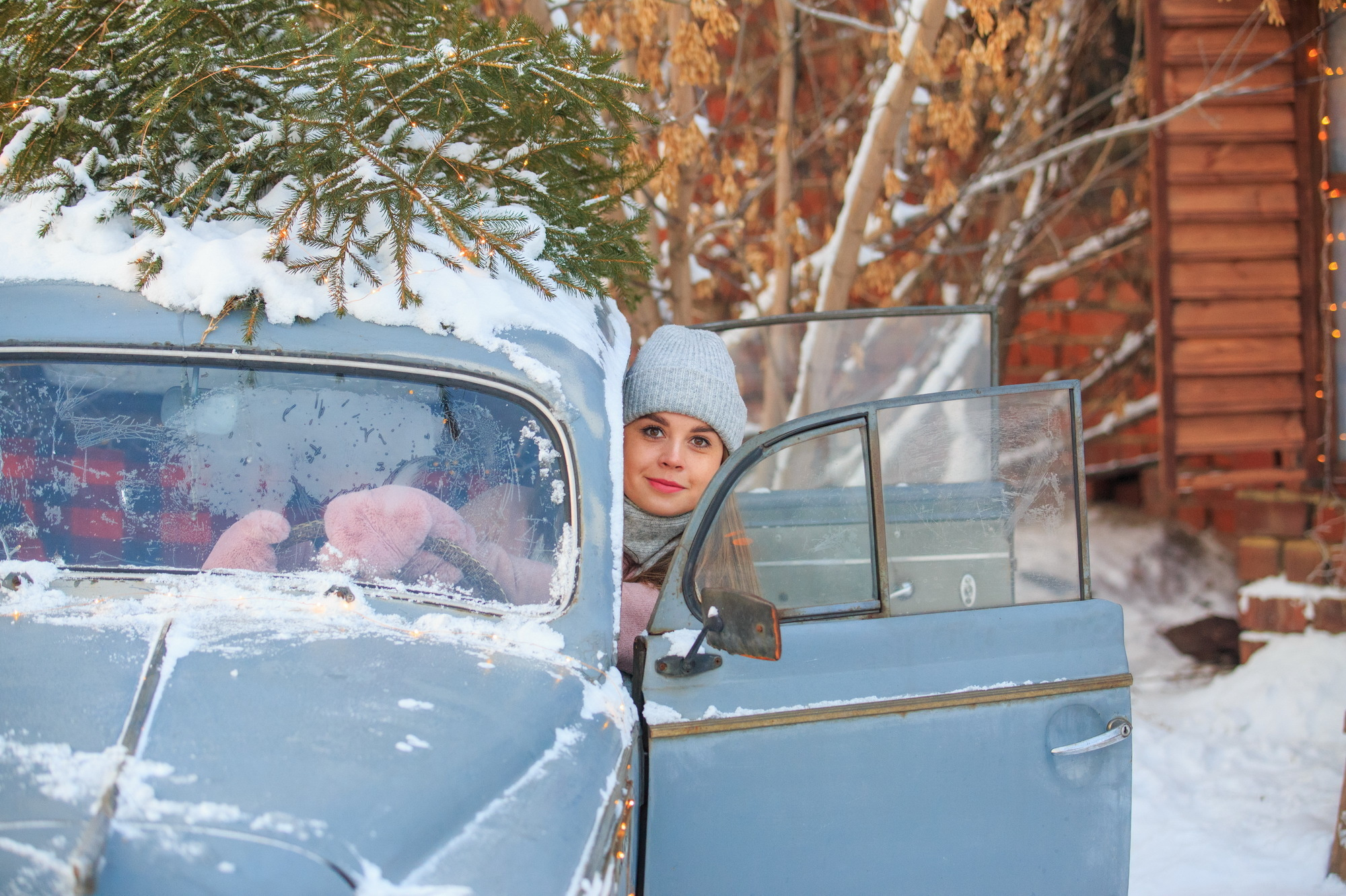 Фотосессии с хаски в Иркутске. Фотограф видеограф Иркутск фото видео студия Алексея Марамзина