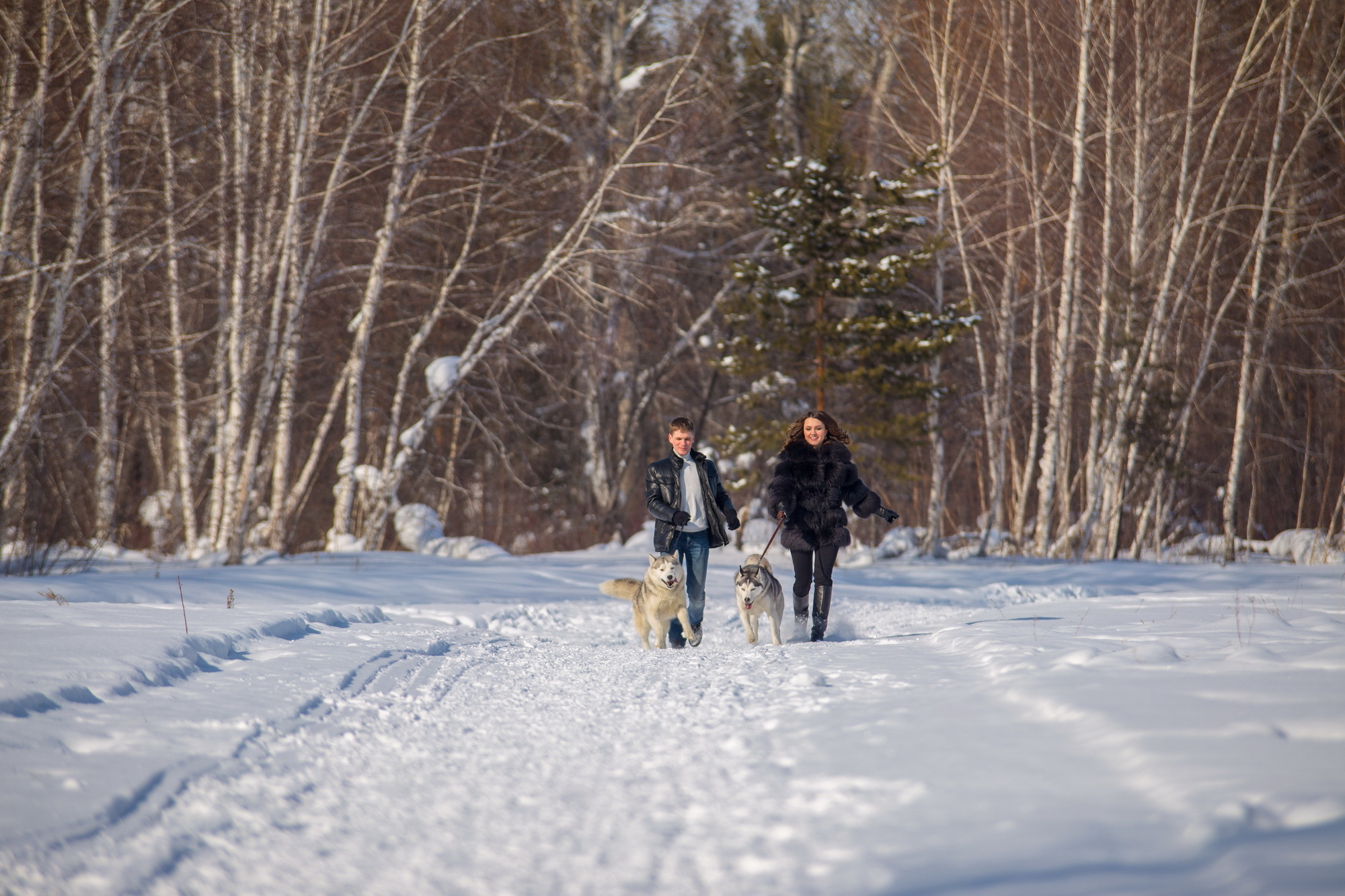 Фотосессия с хаски Иркутск. Фотограф видеограф Иркутск фото видео студия Алексея Марамзина