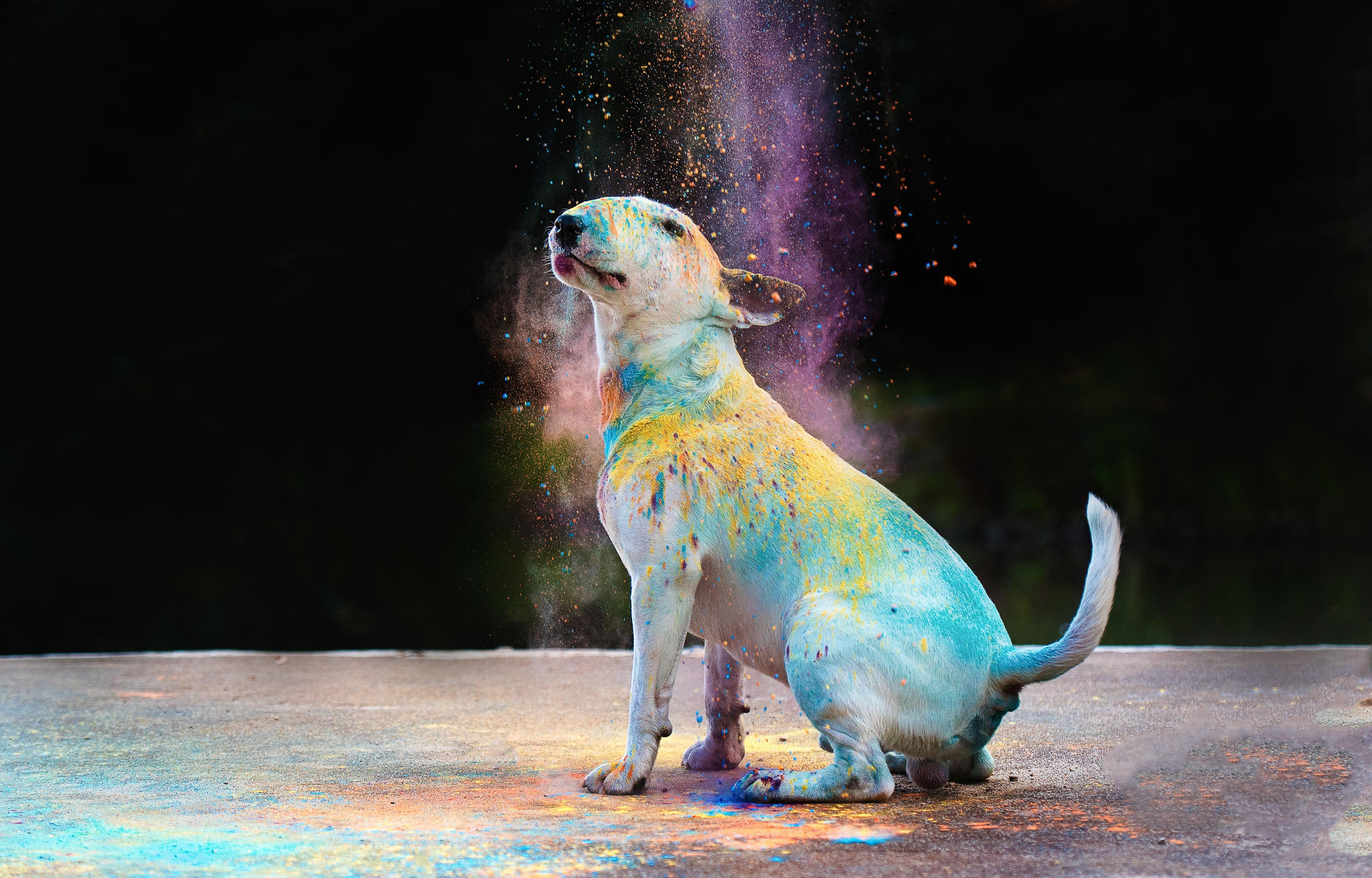 Фотограф-анималист