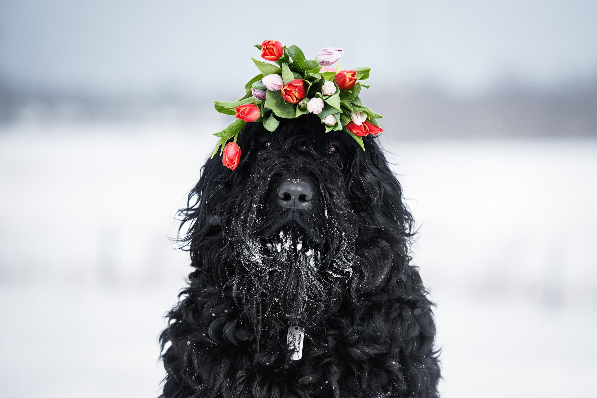 Фотограф-анималист